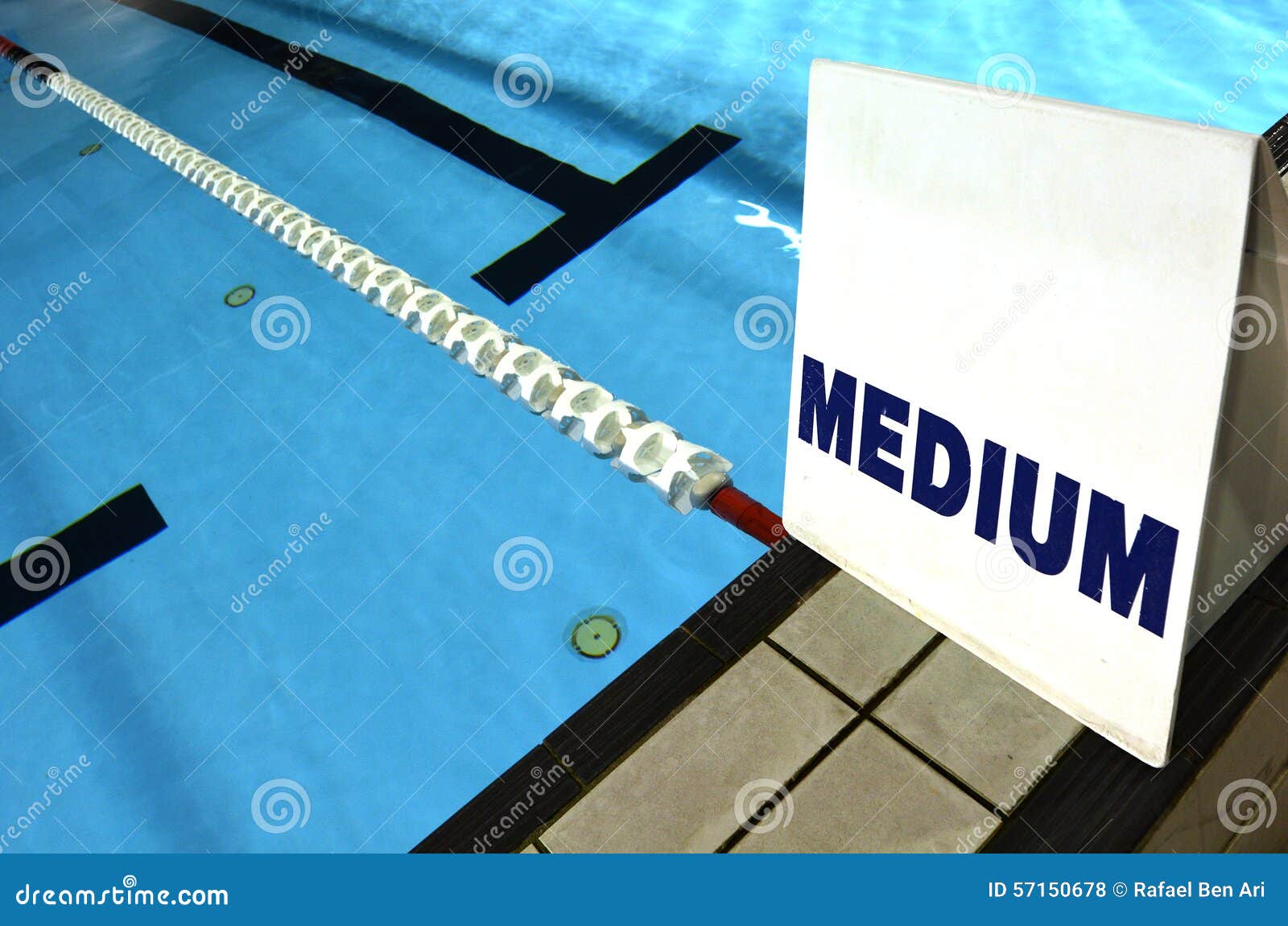 Medium Lane Sign in Swimming Pool Stock Photo Image of business