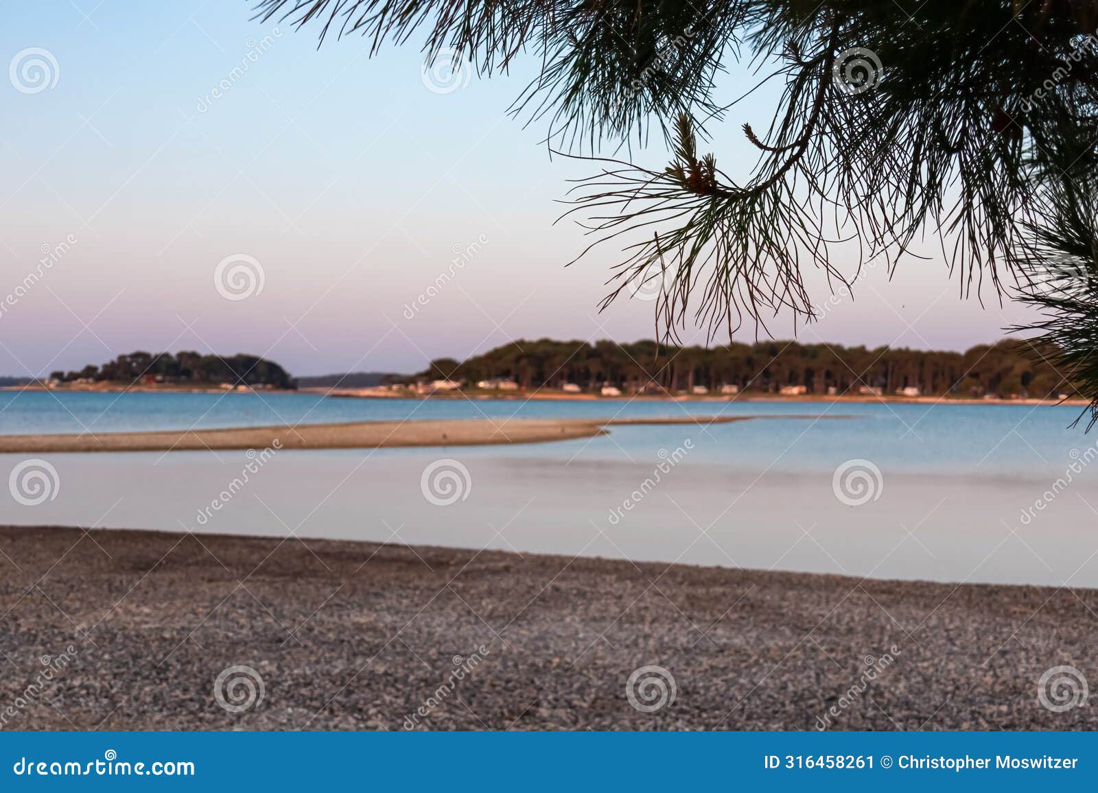 medulin - selective focus on pine tree branch with scenic view of idyllic beach in medulin, istria peninsula, croatia. calm water