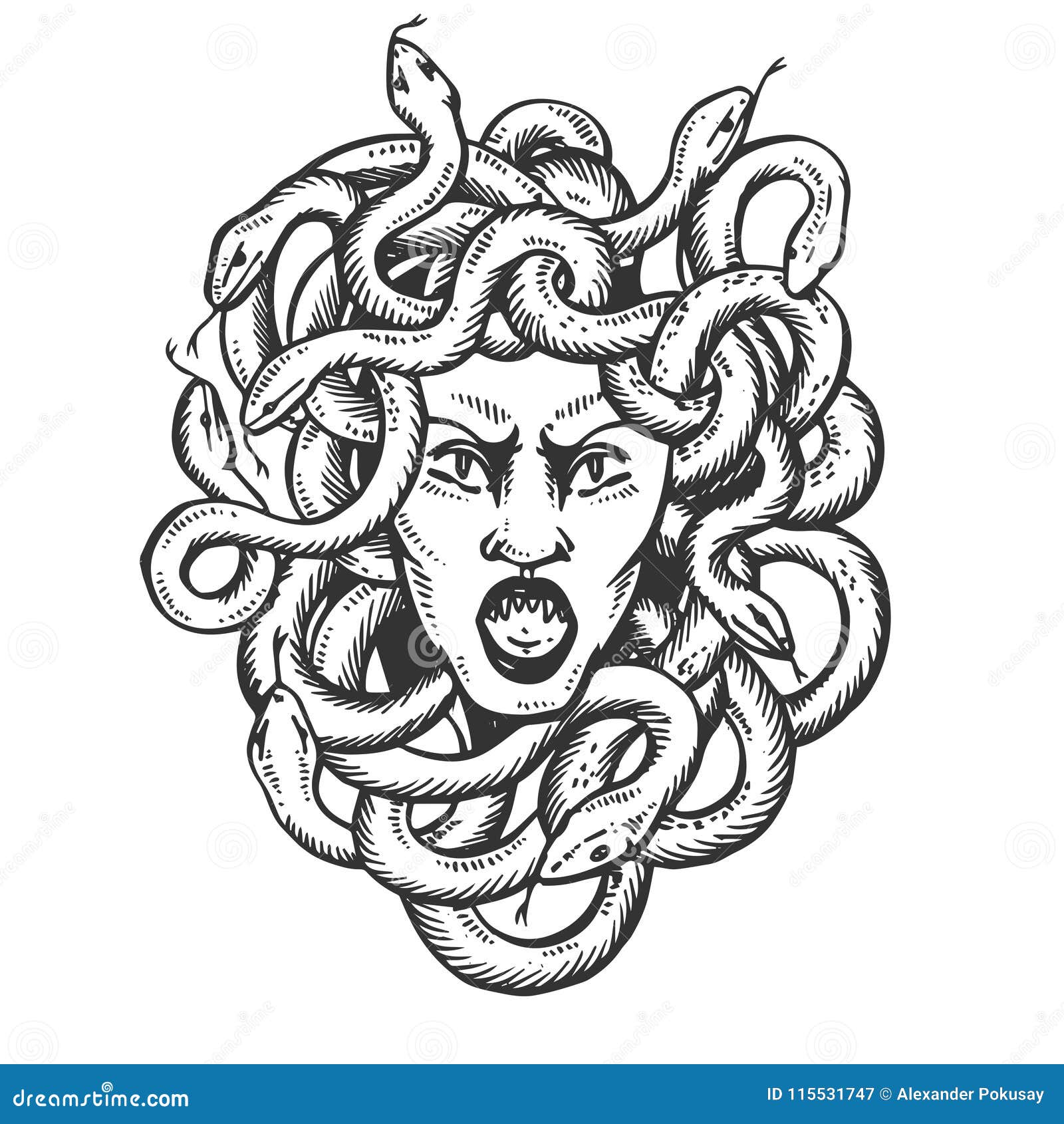 Medusa Sketch Color Details - Etsy