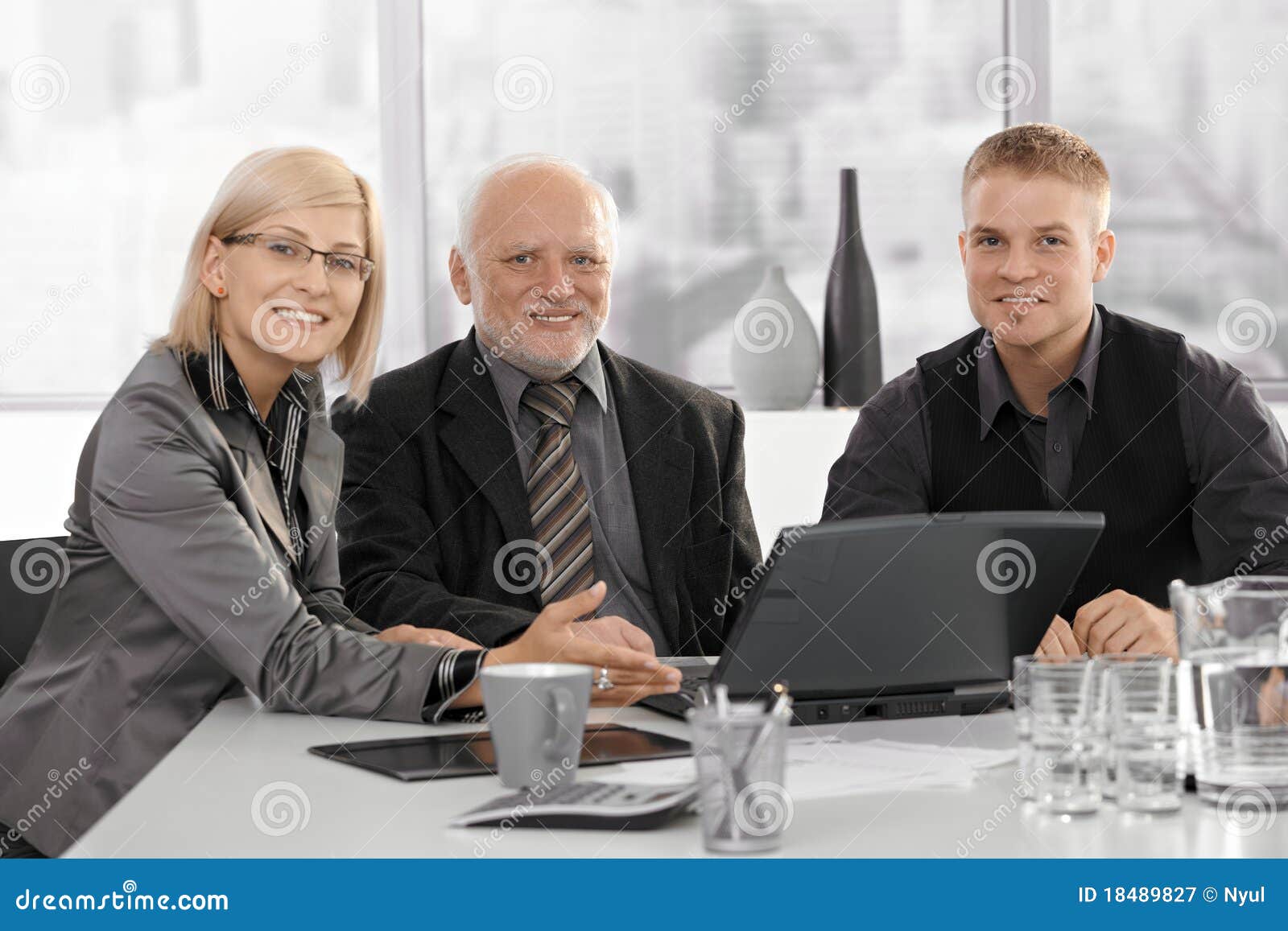 Meeting With Senior Executive Stock Image Image Of Businesswoman Businesspeople 18489827