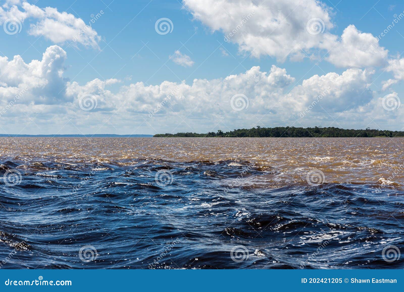 the meeting of waters encontro das ÃÂguas, a natural phenomenon with the rio negro blending with the amazon river in the state of