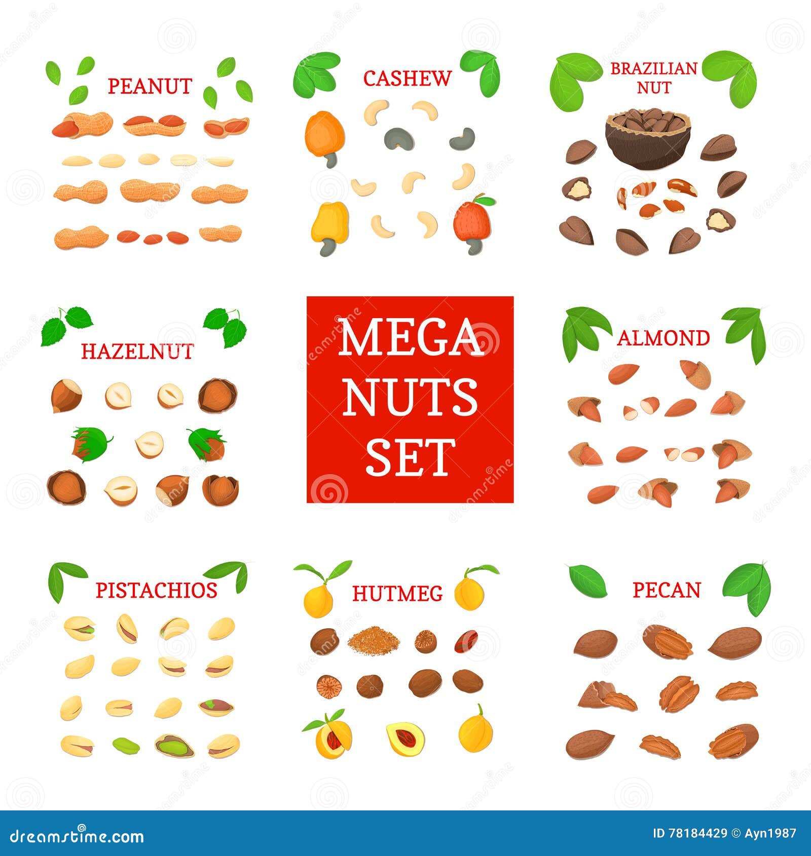 Mega Nut Set. Pecans, Hazelnuts, Peanuts, Nutmeg, Almonds, Cashews