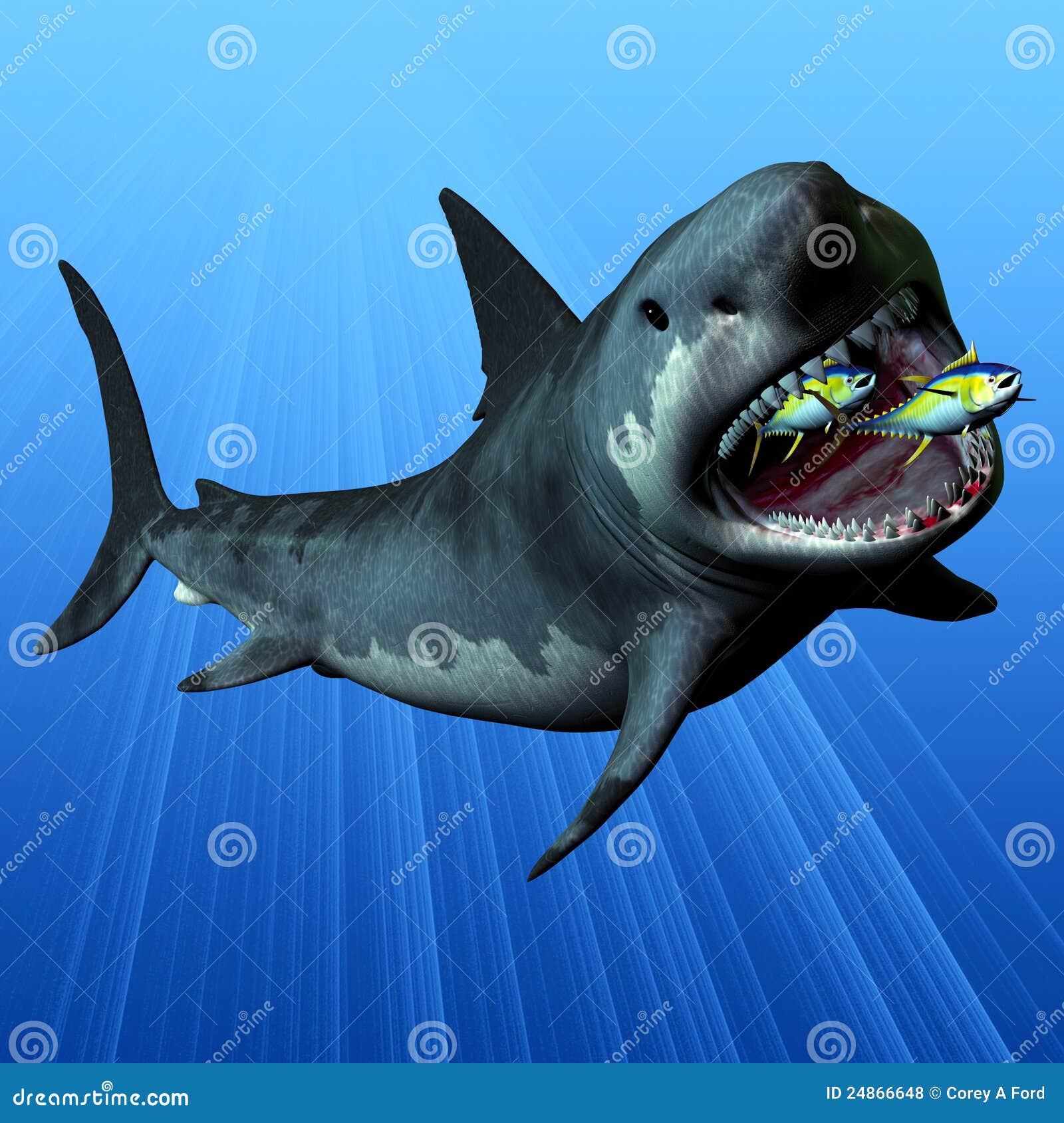 Megalodon Cartoons, Illustrations & Vector Stock Images - 65 Pictures
