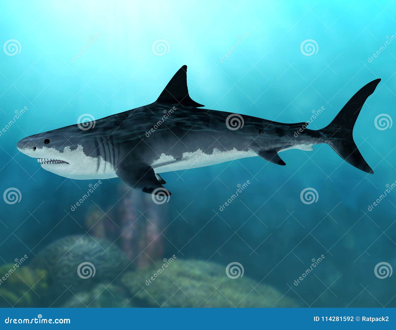 Megalodon Extinct Mega Shark Stock Photo | CartoonDealer.com #114281592