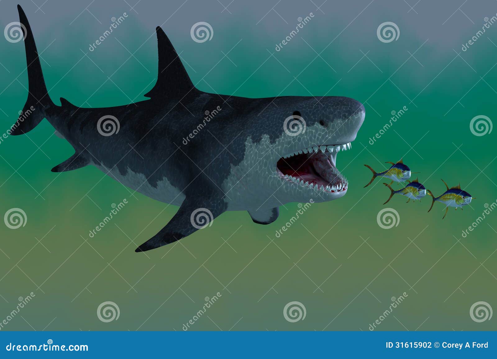 Megalodon-Haiangriff stockfoto. Bild von ausgestorben - 31615902