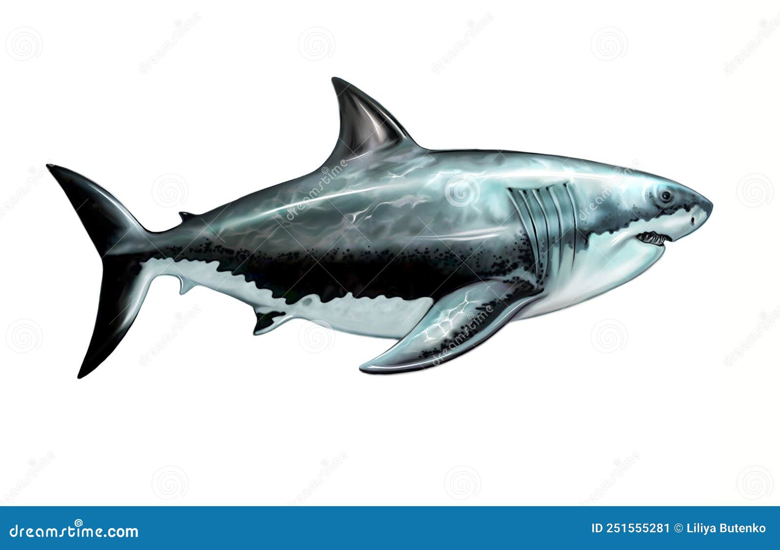Megalodon, Otodus Megalodon, Carcharocles Stock Illustration