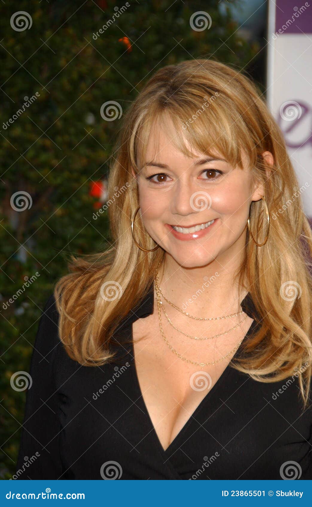 Megyn Price editorial photo. Image of club, 17th, angeles - 23865501