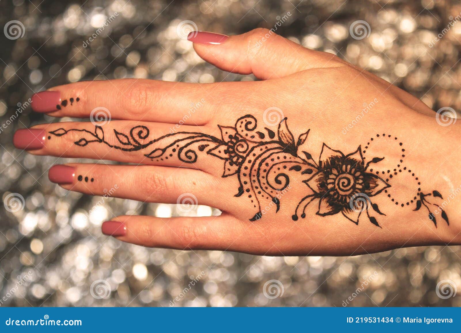 Henna Tattoo on Woman Hands Artist Drawing Arabic Mehndi Stock Photo   Image of indian henna 228289258