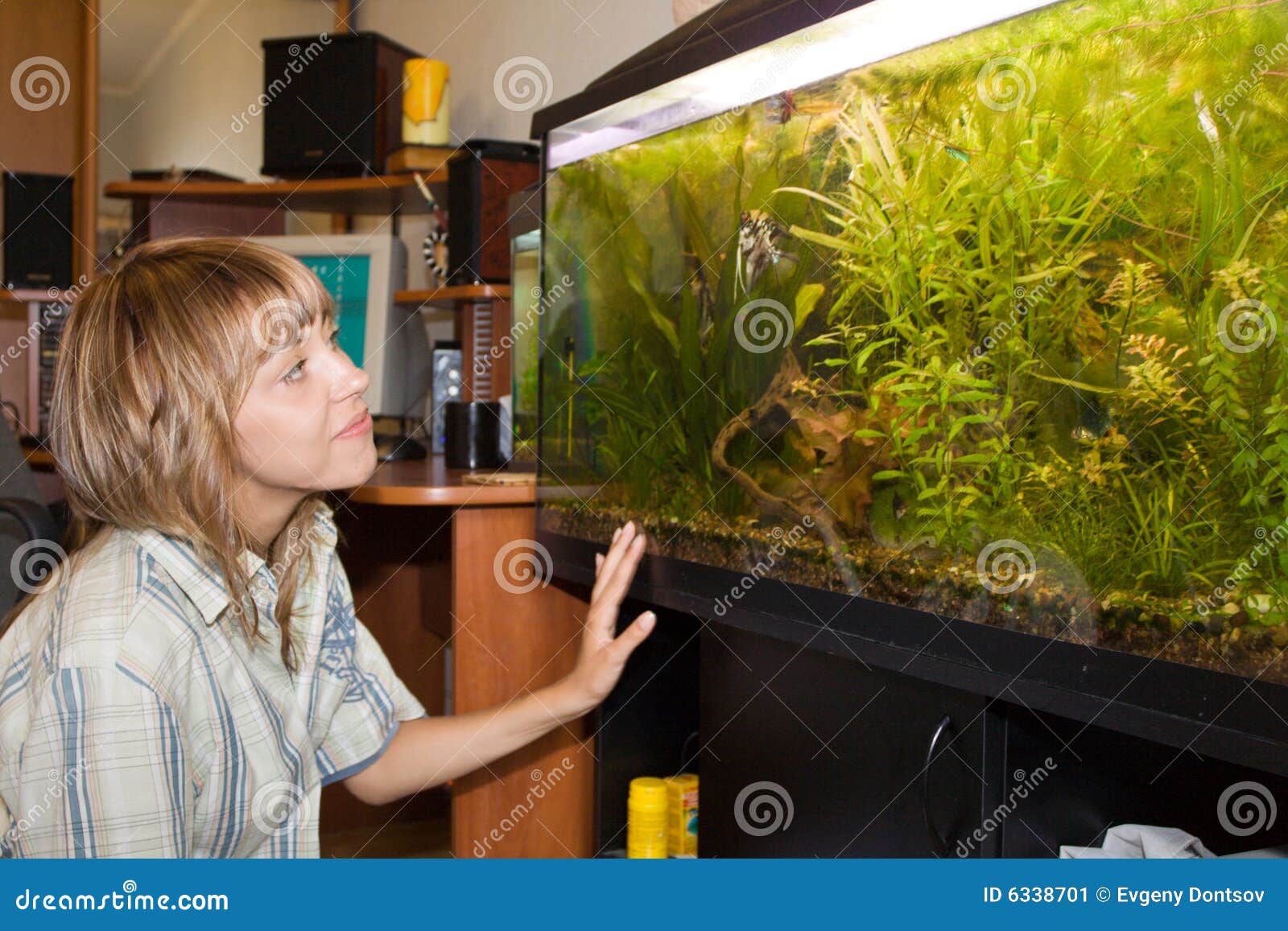 Meisje dat aquarium bekijkt. Meisje dat thuis aquarium kijkt