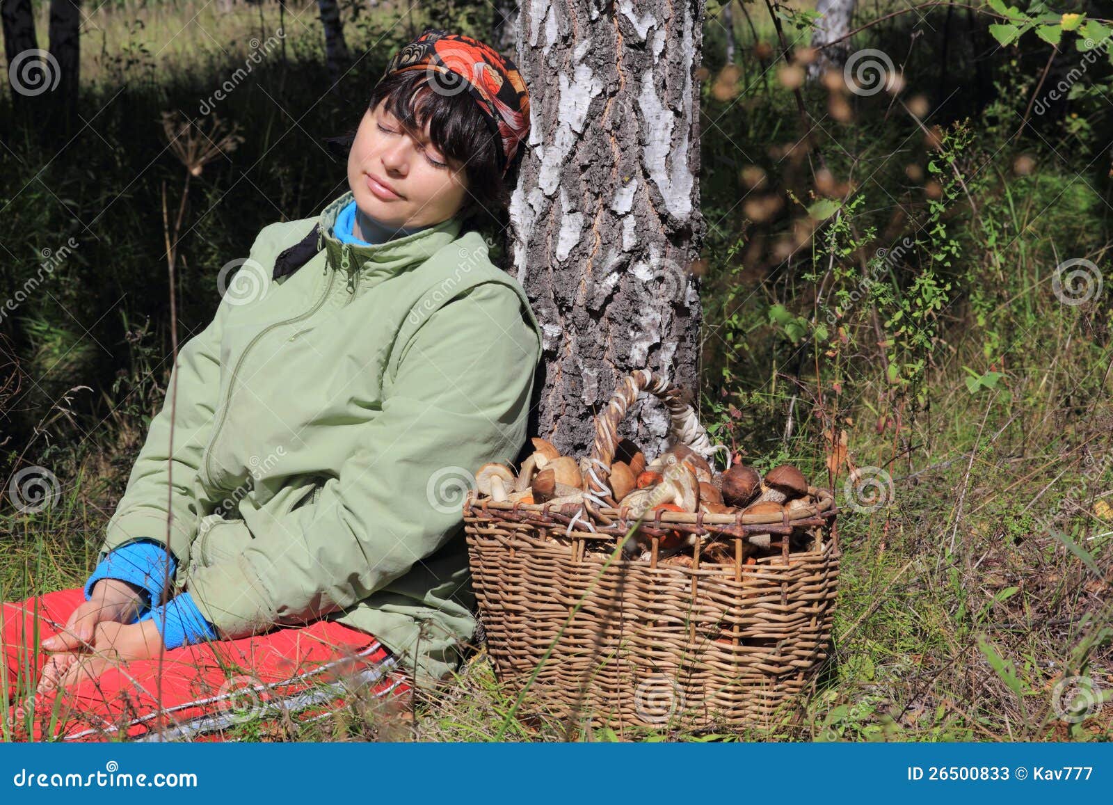 Сон собирать белые грибы в лесу женщине. Женщина собирает грибы. Женщина грибник. Женщина собирает грибы в лесу. Девушка собирает грибы в лесу.