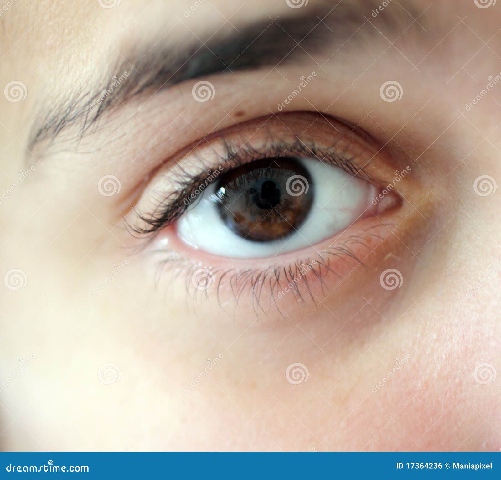 Melancholy brown eye stock photo. Image of mesmerize 17364236