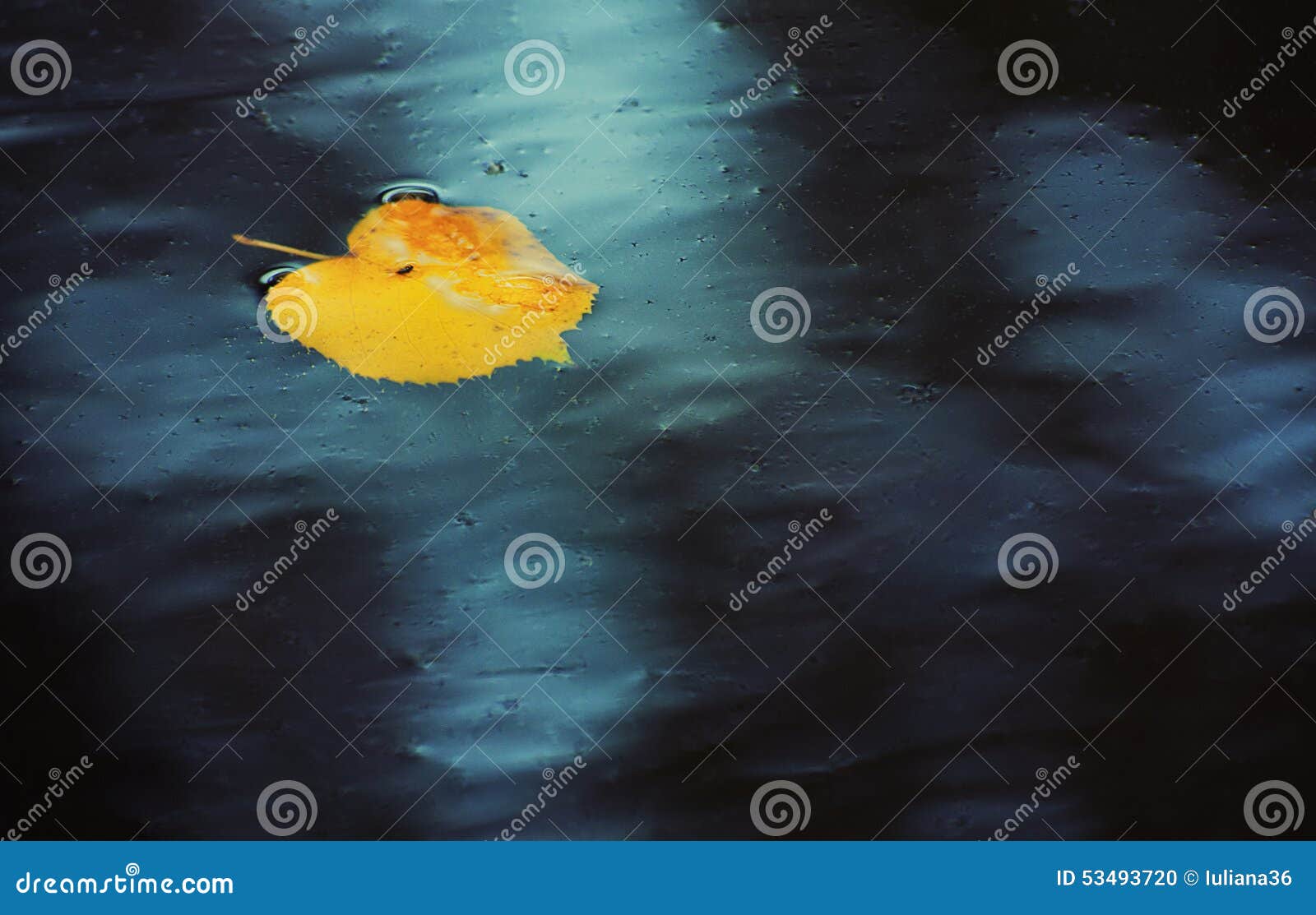 Melancholy stock photo. Image of nature, floating, melancholy 53493720