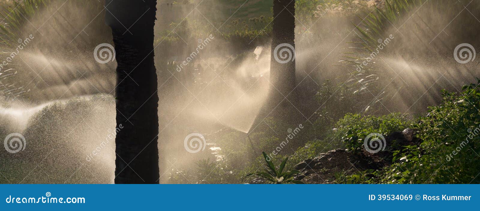 Melbourne watering system stock image. Image of landscaping 39534069