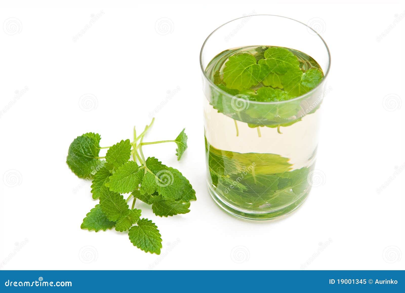 Melissa tea stock image. Image of calm, bundle, fresh 19001345