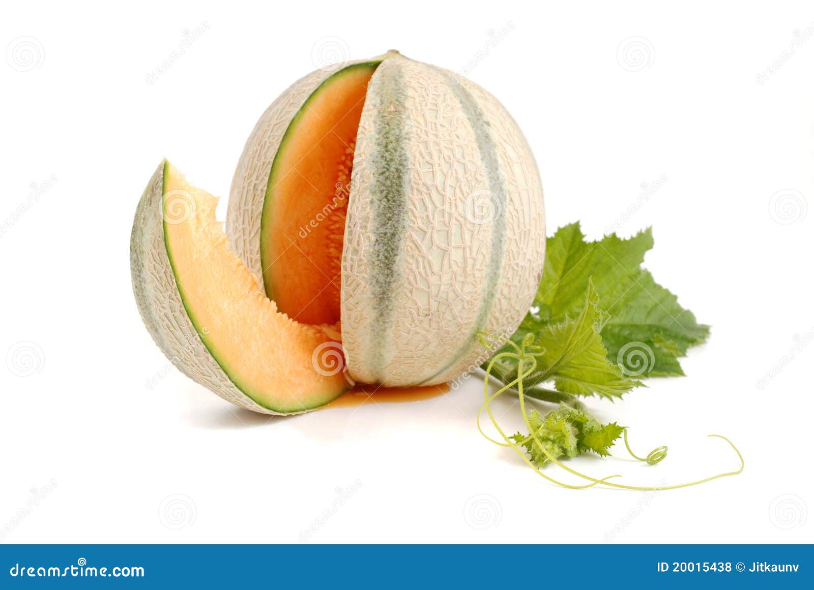Melon stock photo. Image of food, fruit, slices, diet 20015438