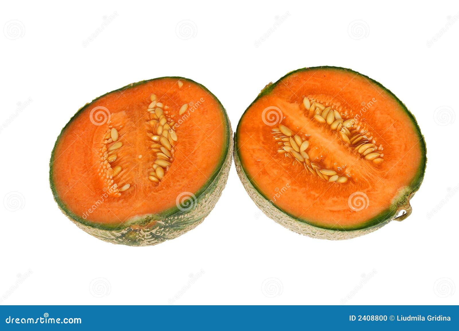 Melon stock photo. Image of melon, seed, white, fruit 2408800