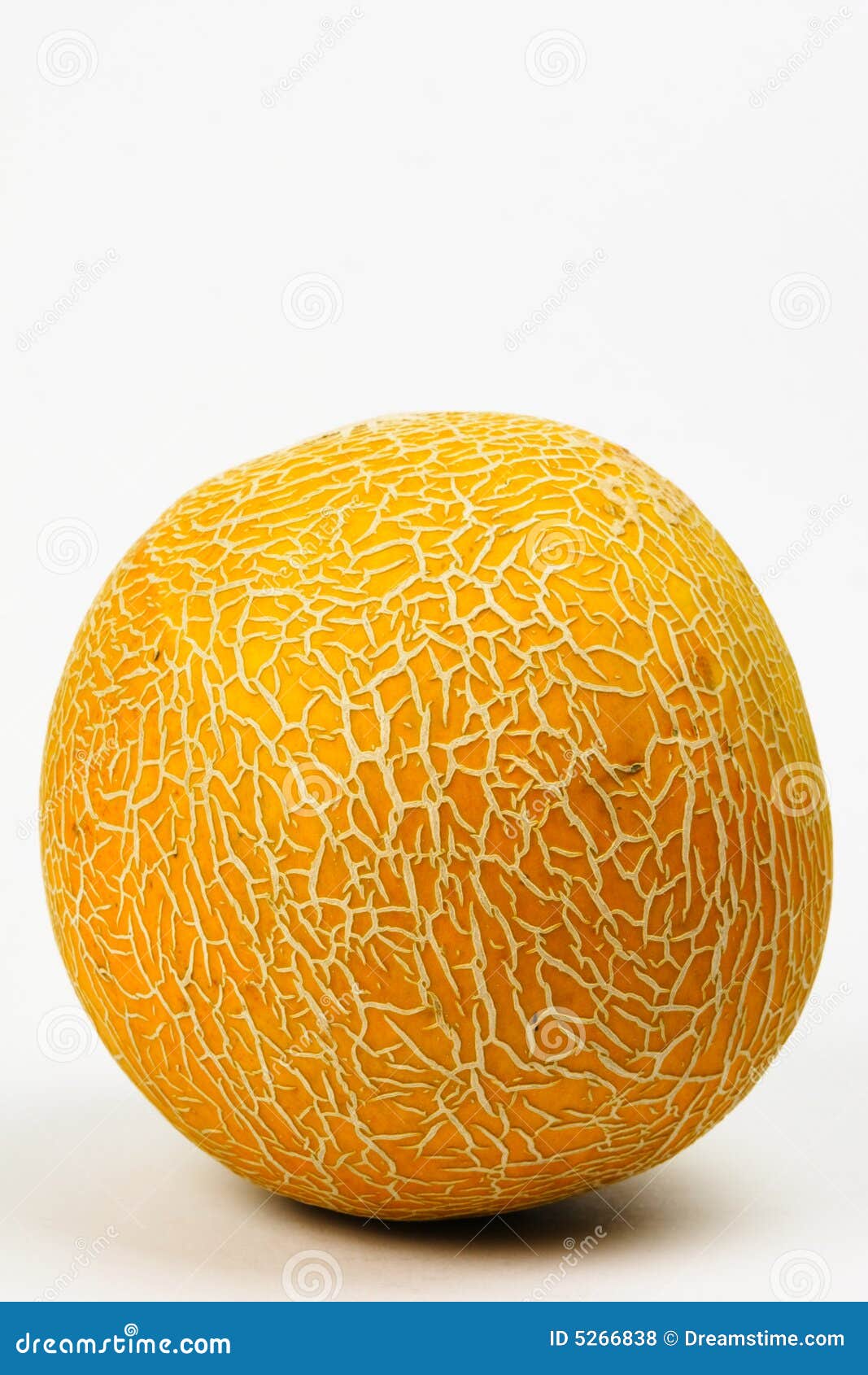 A Melon stock photo. Image of tasty, sweet, melon, ripe 5266838