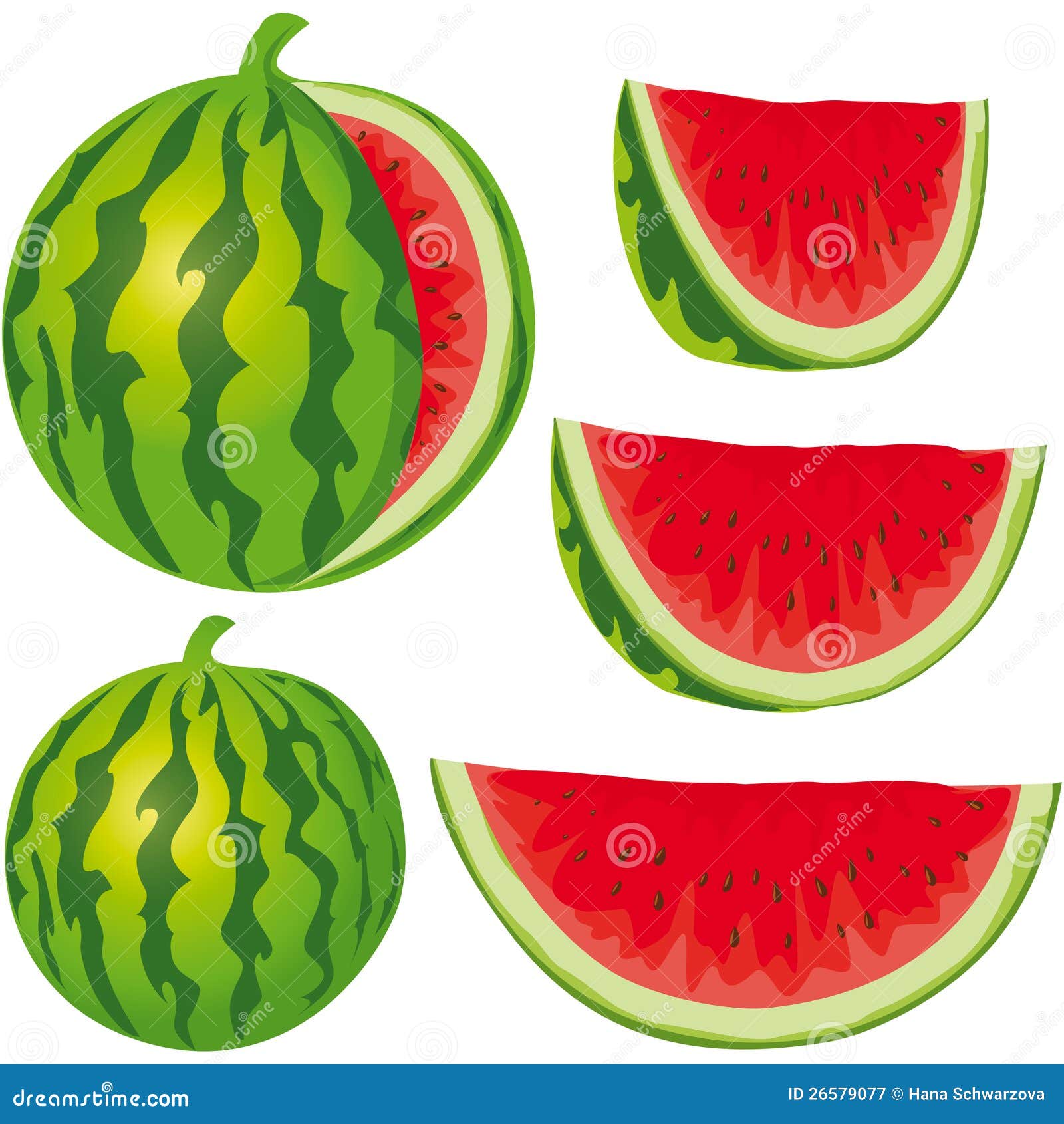 Melon d'eau illustration de vecteur. Illustration du nutrition 26579077