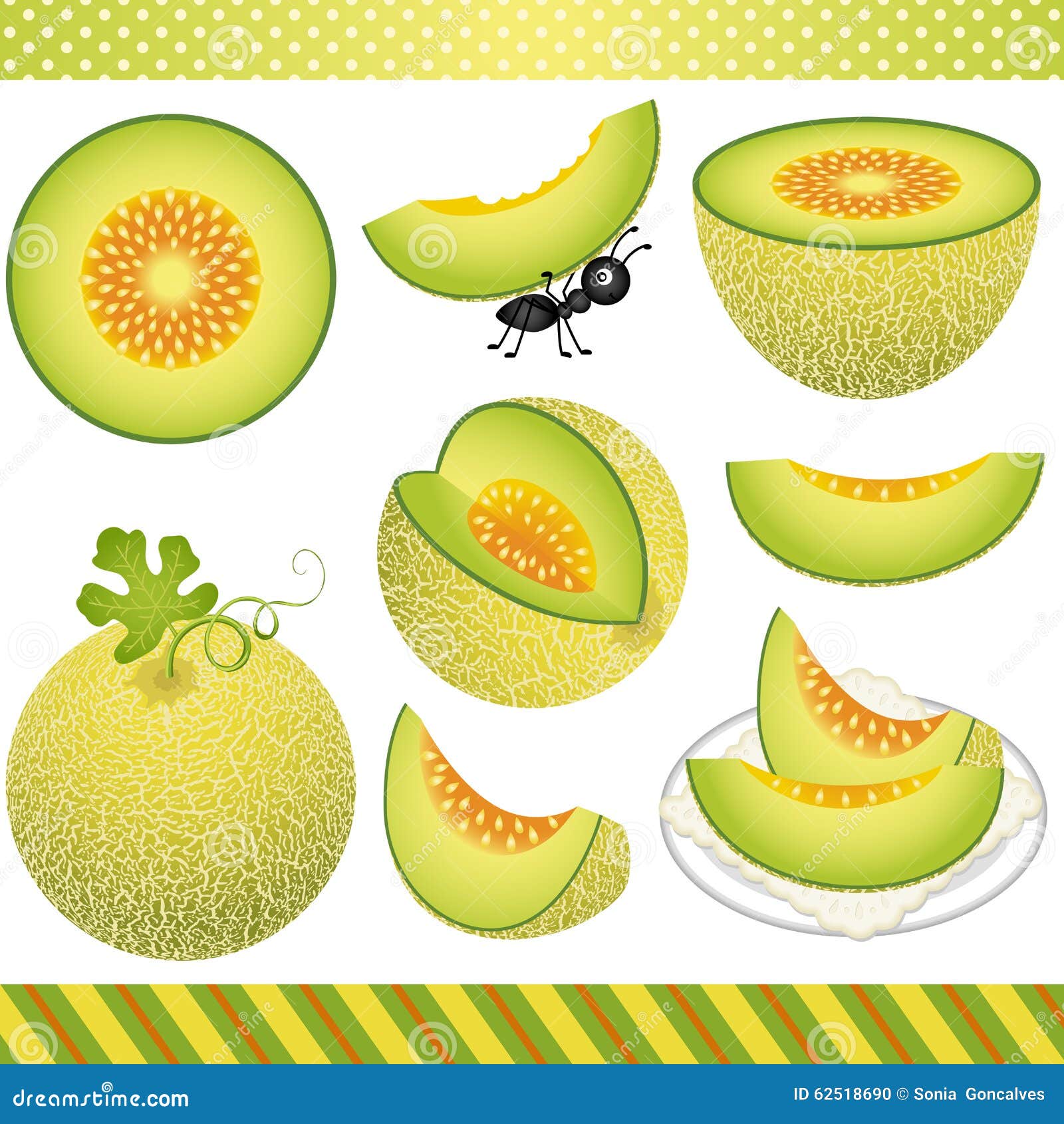 Melon Digital Clipart De Cantaloup Illustration de Vecteur