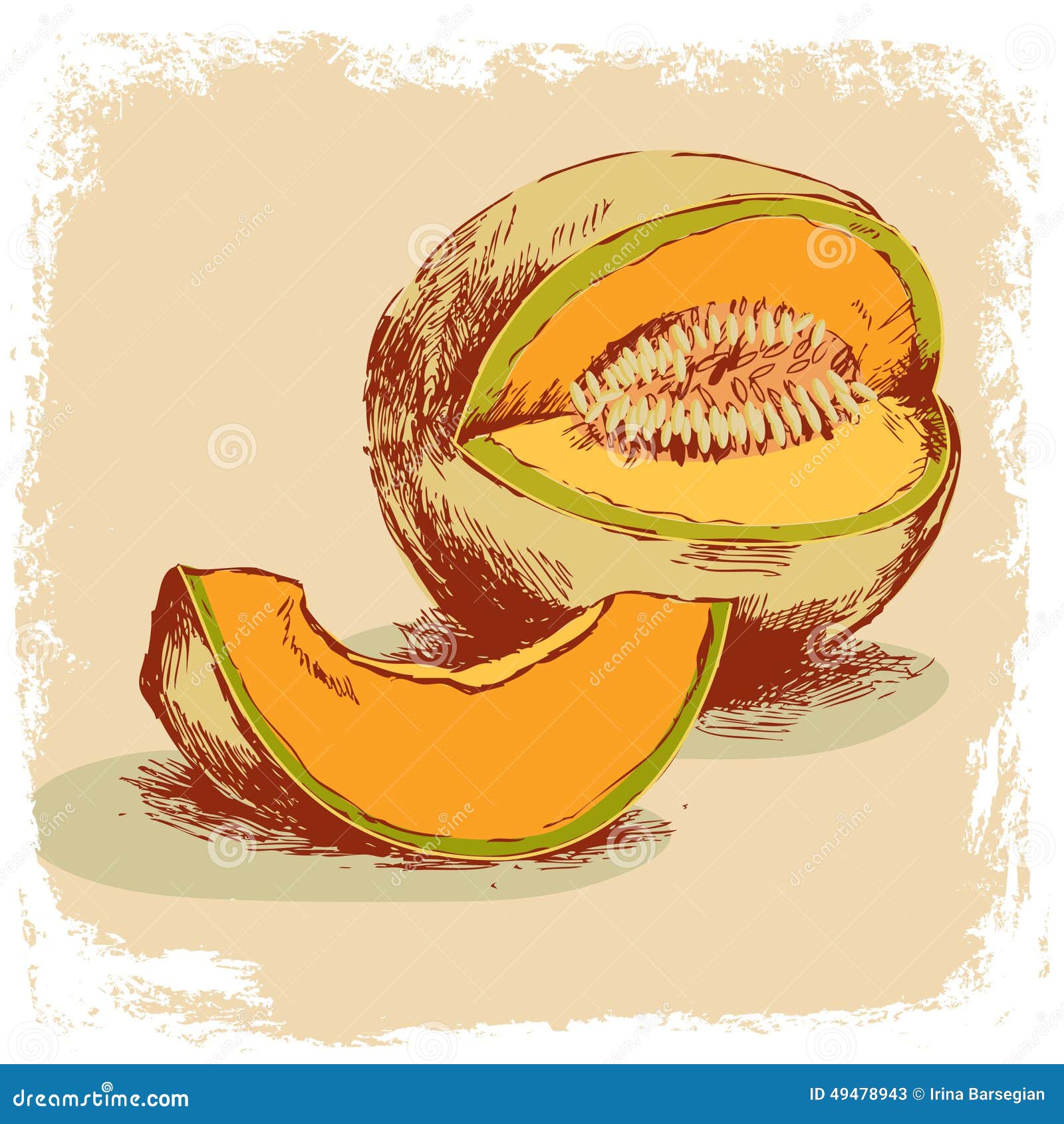 Melon Hand Drawn. Illustration Stock Vector - Illustration of fruit