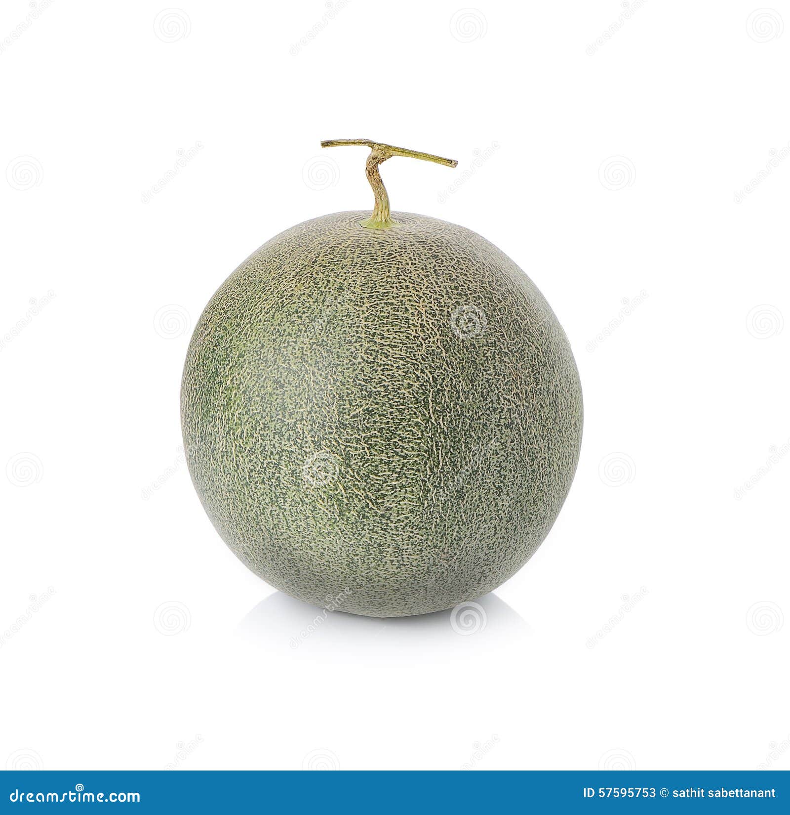 Melon from Japan on a White Background. Stock Image Image of circle