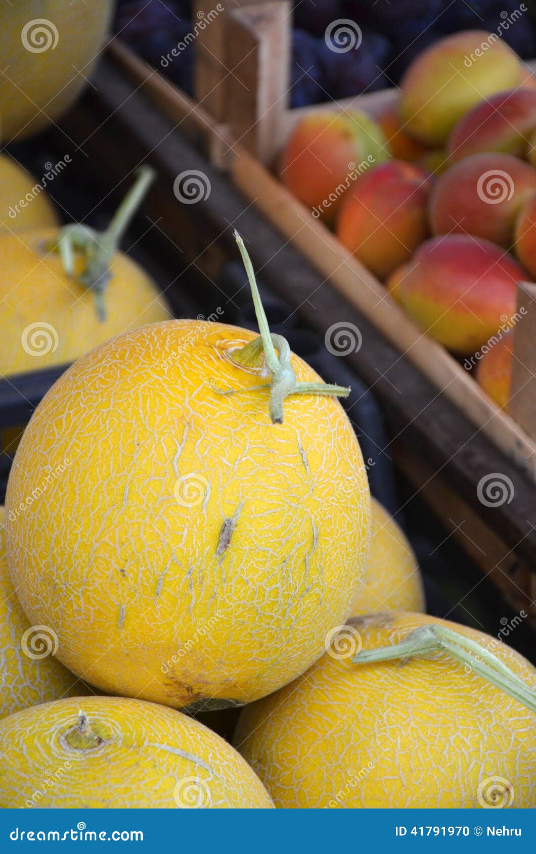 Melon in a market stock photo. Image of healthy, fruit 41791970