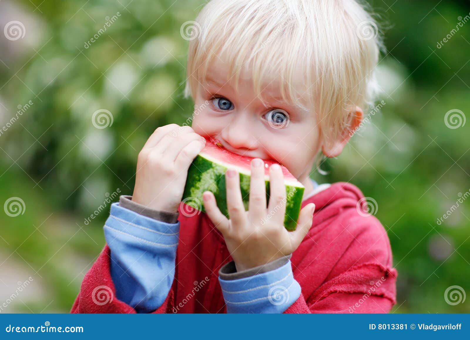 Melon Munching stock image. Image of eating, licking, amusing - 8013381