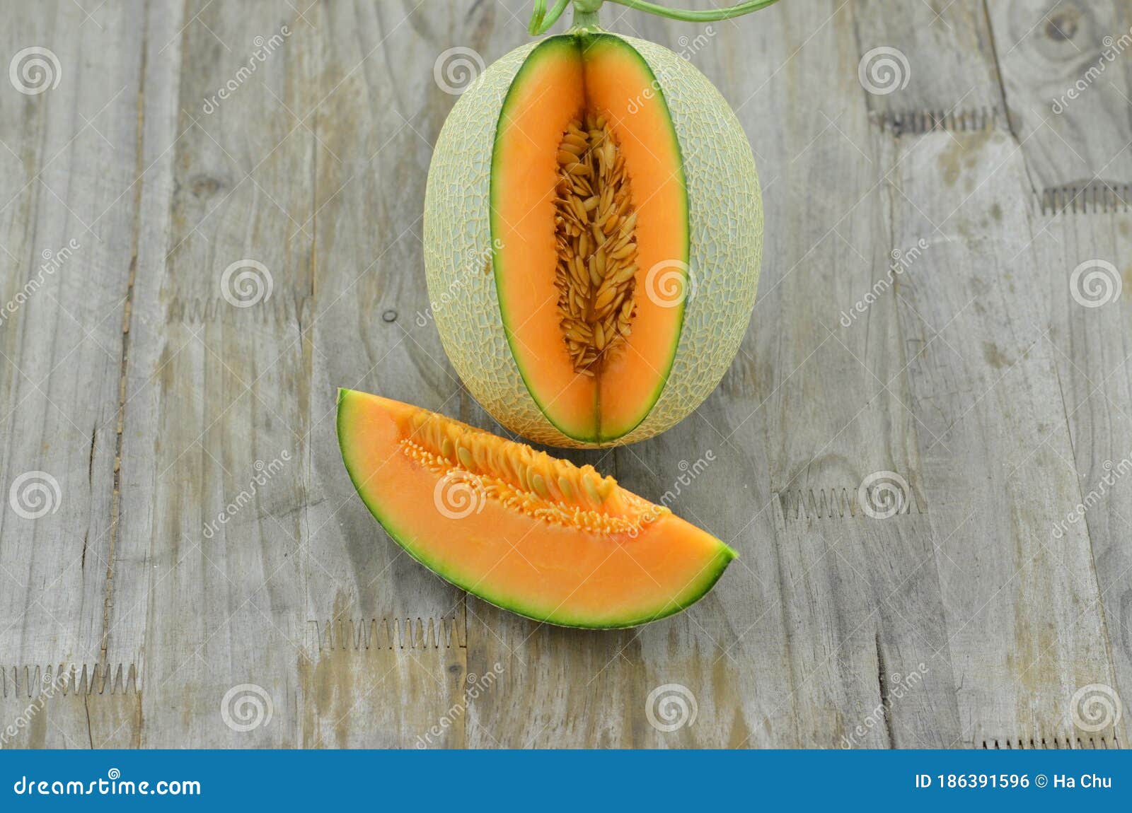 Melon Net, Delicious Good for Health Stock Photo Image of healthy