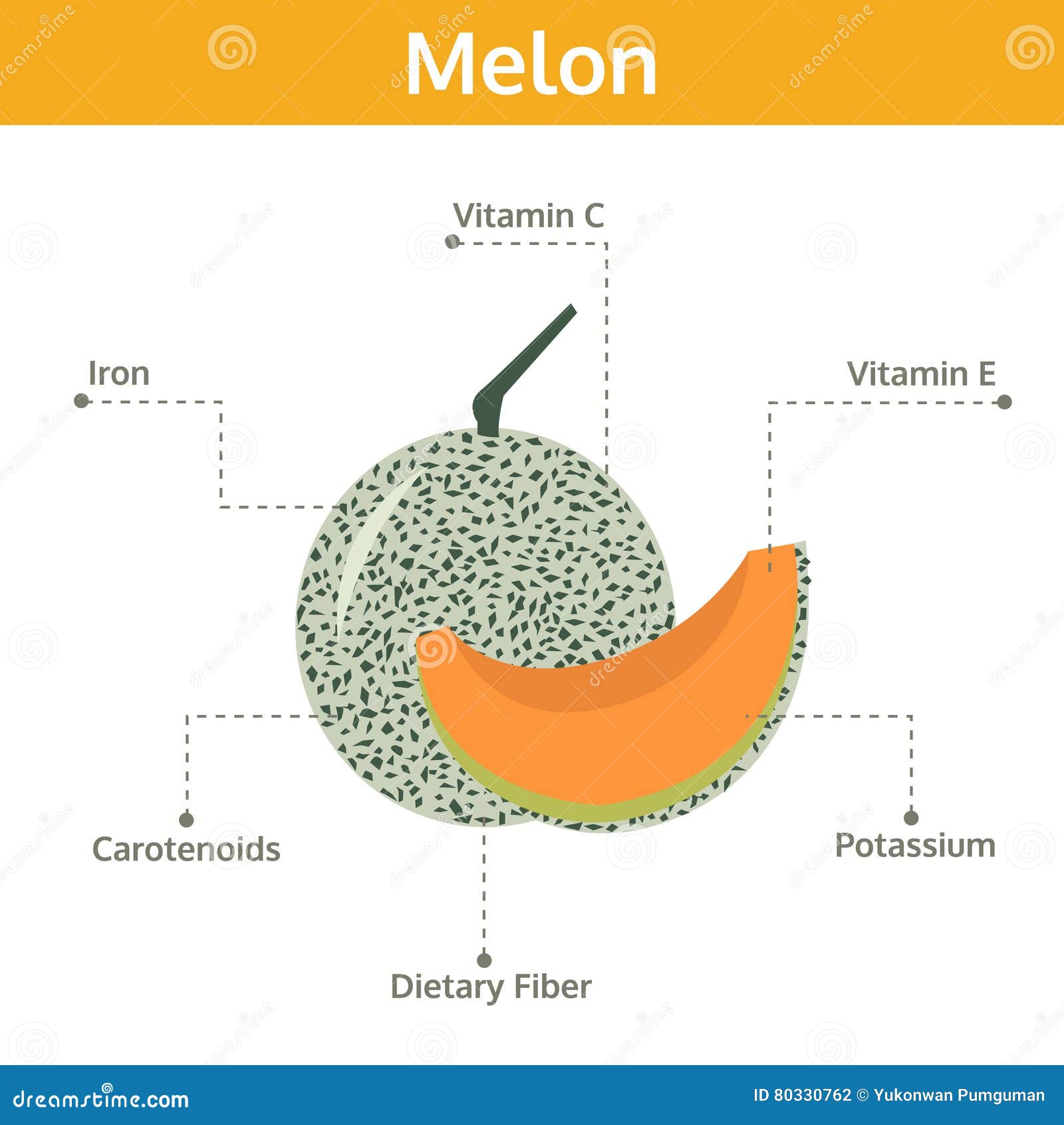 Melon Nutrient Of Facts And Health Benefits Info Graphic Fruit Vector Illustration free-photo-melon-fruit-mat-free-image-on-pixabay-645485