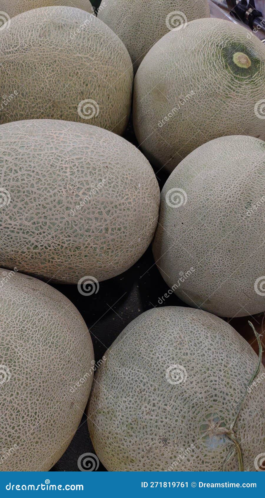 Melon is Produced in Many Tropical Countries and is a Fruit Rich in