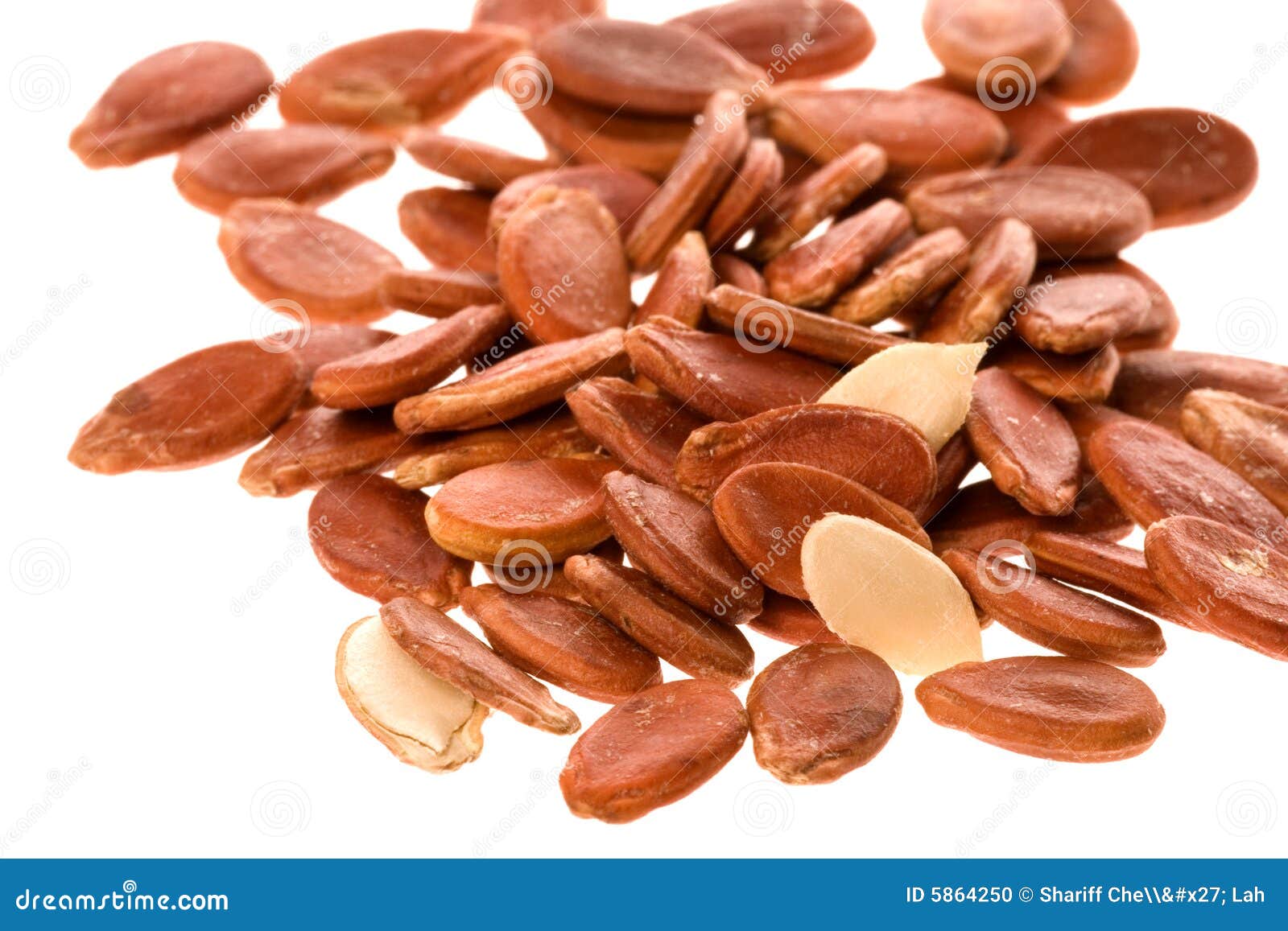 Melon Seeds stock photo. Image of detail, food, melons 5864250