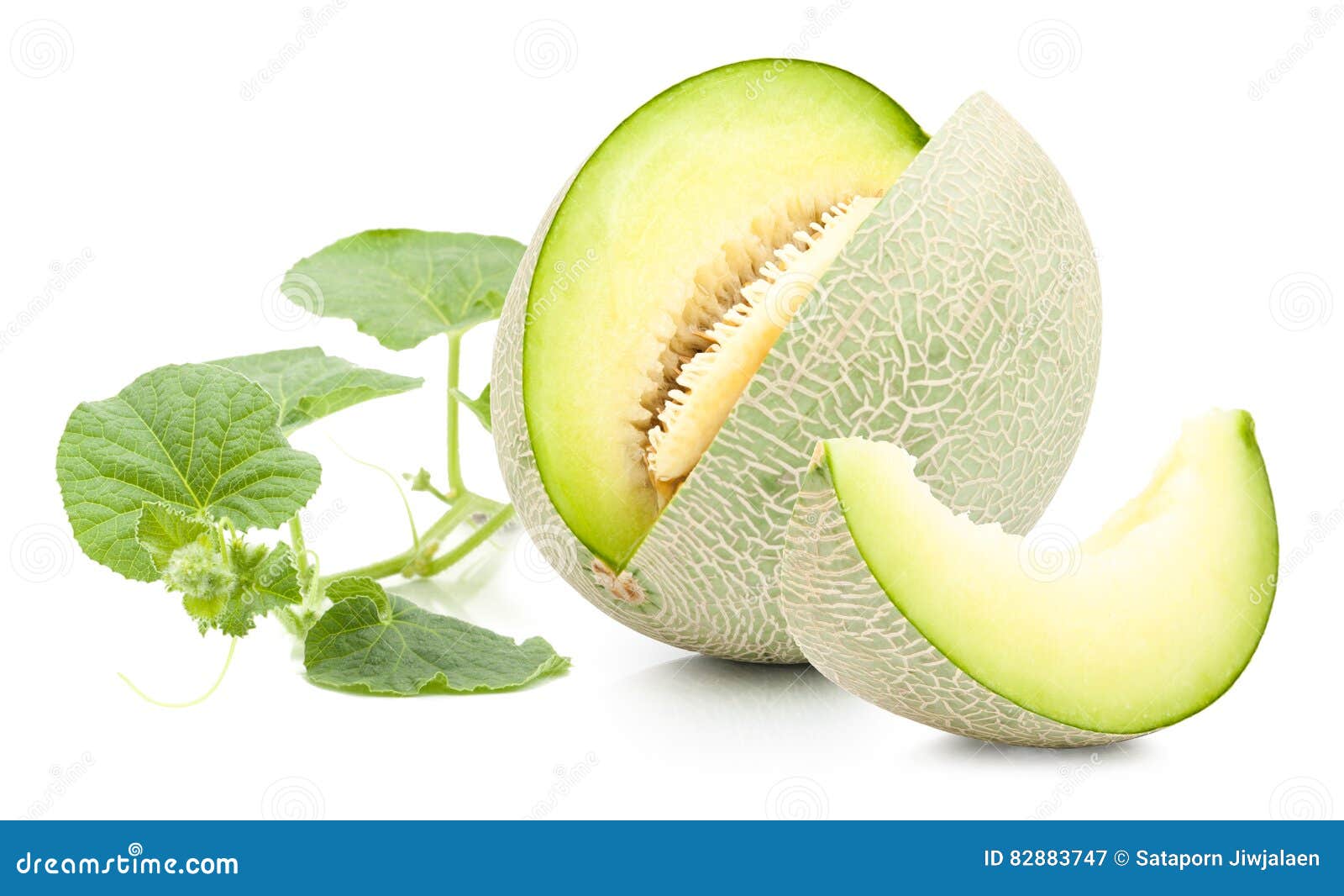 Melon Vert De Cantaloup D'isolement Image stock Image du melon, frais