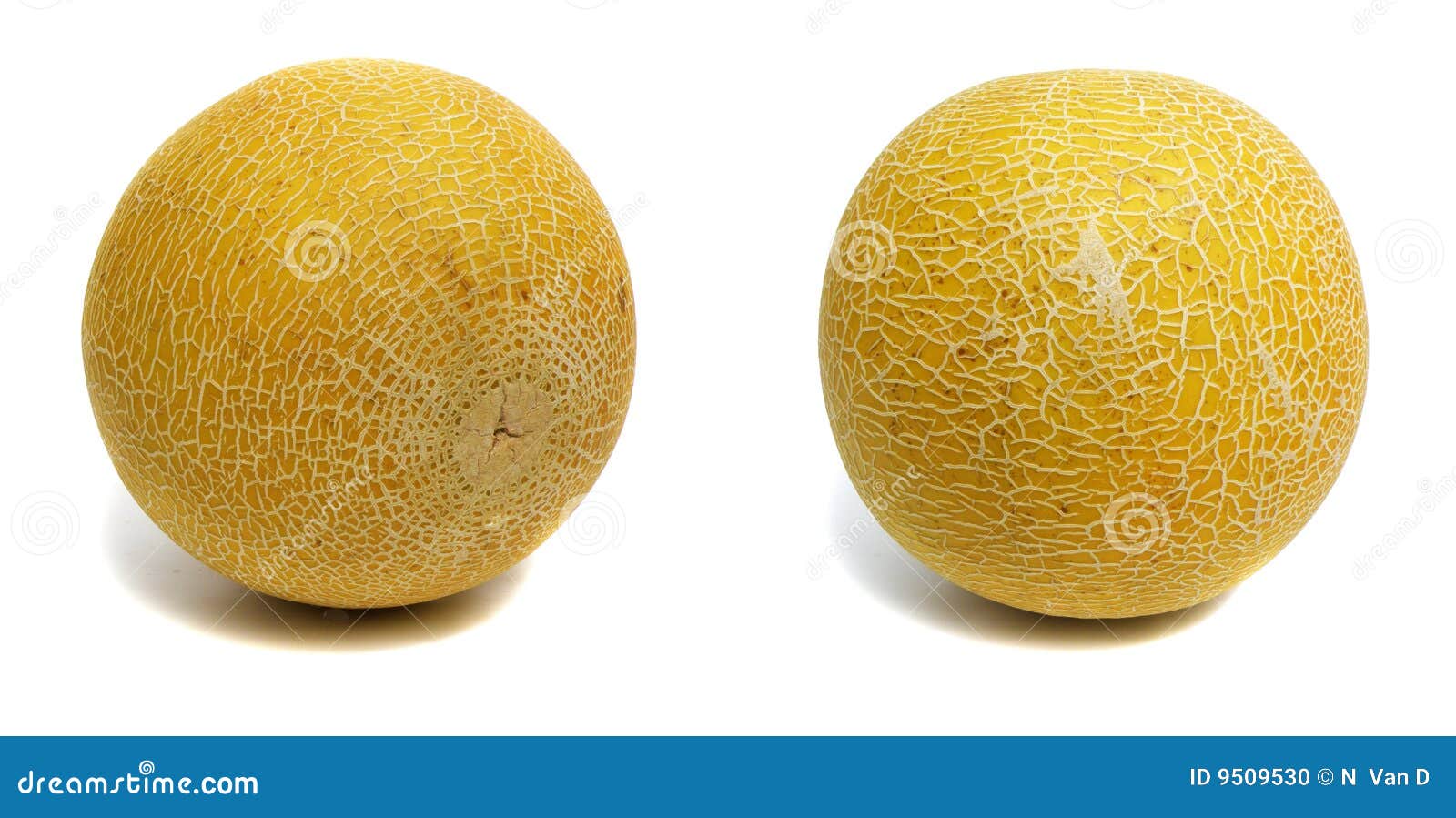 Melons photo stock. Image du frais, régime, charnu, juteux 9509530