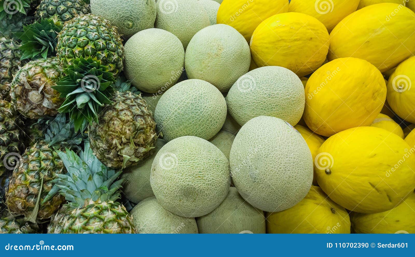 Melons stock photo. Image of product, pineapple, fresh 110702390