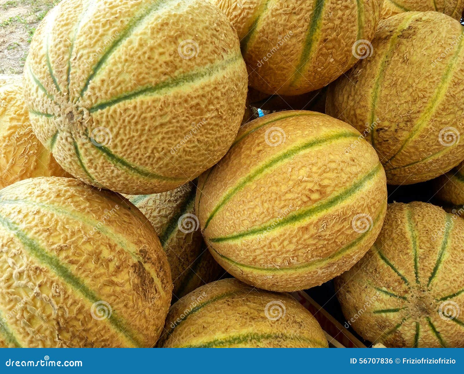 Melons stock photo. Image of sweet, snack, energy, farmer 56707836