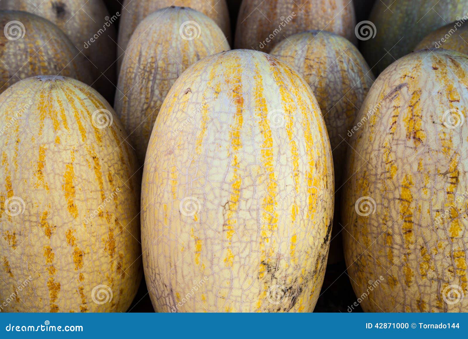Melons for sale stock photo. Image of crop, color, kitchen 42871000