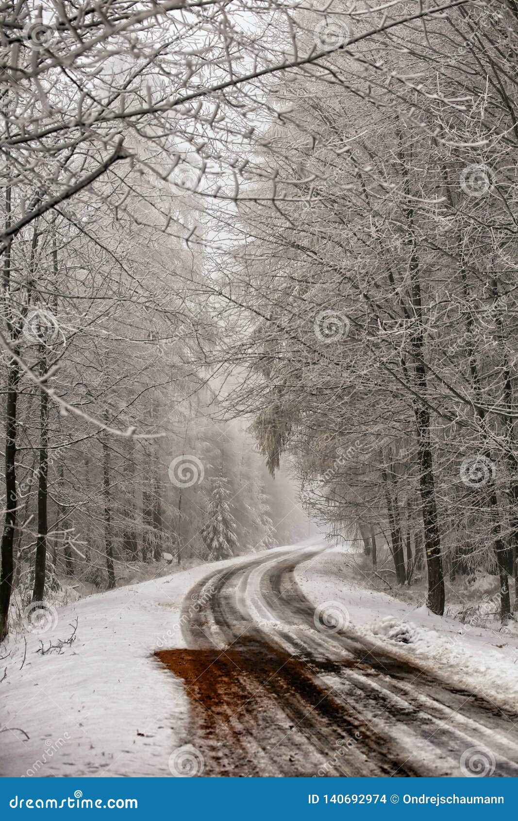 Melt Snow Covered Curved Road in the Winter Forest Stock Photo Image