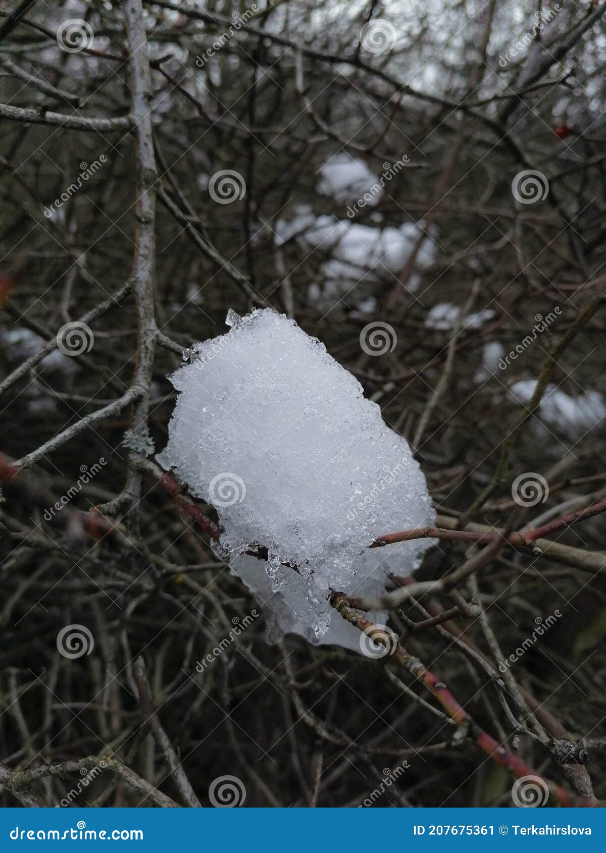 Melt snow stock image. Image of nature, winter, freezing 207675361