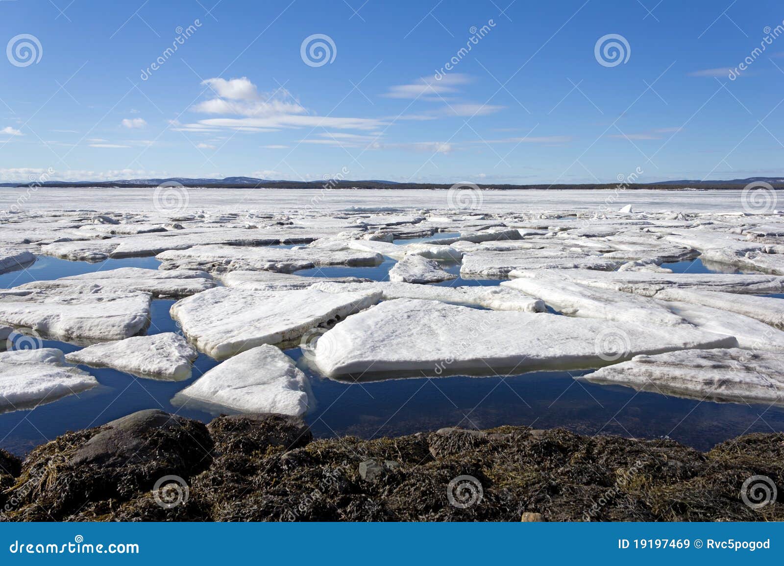 Melting of sea ice stock image. Image of arctic, brake 19197469
