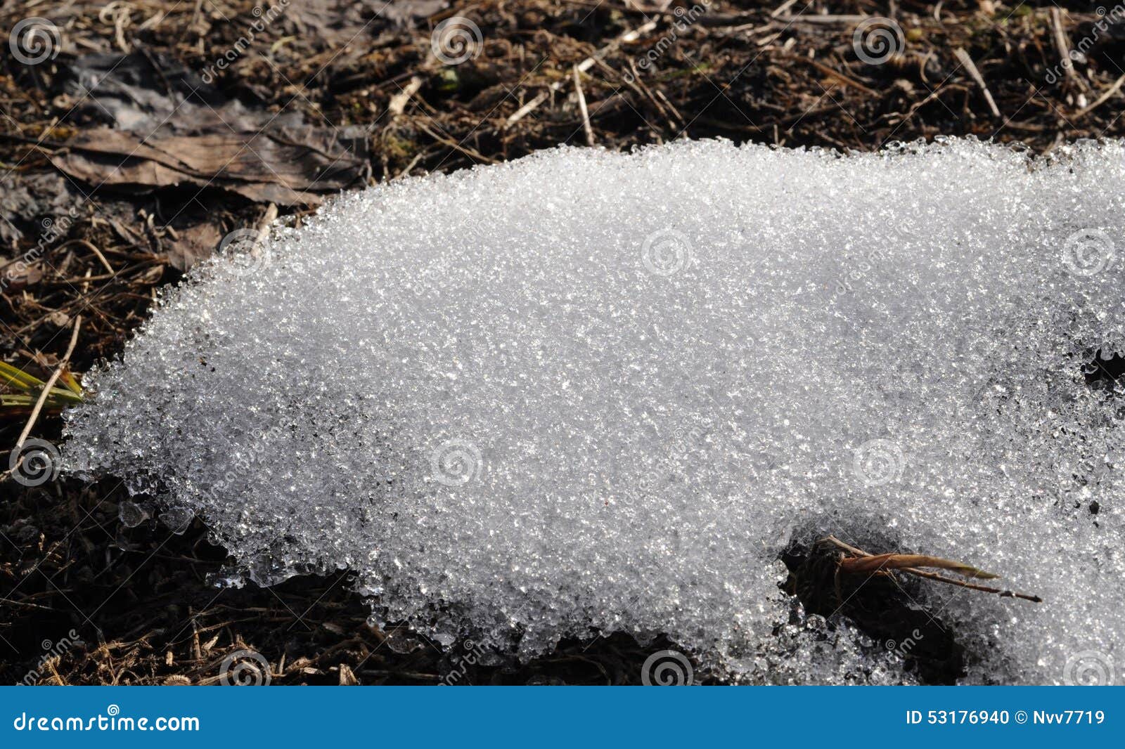 Melting snow stock photo. Image of granular, water, ground 53176940