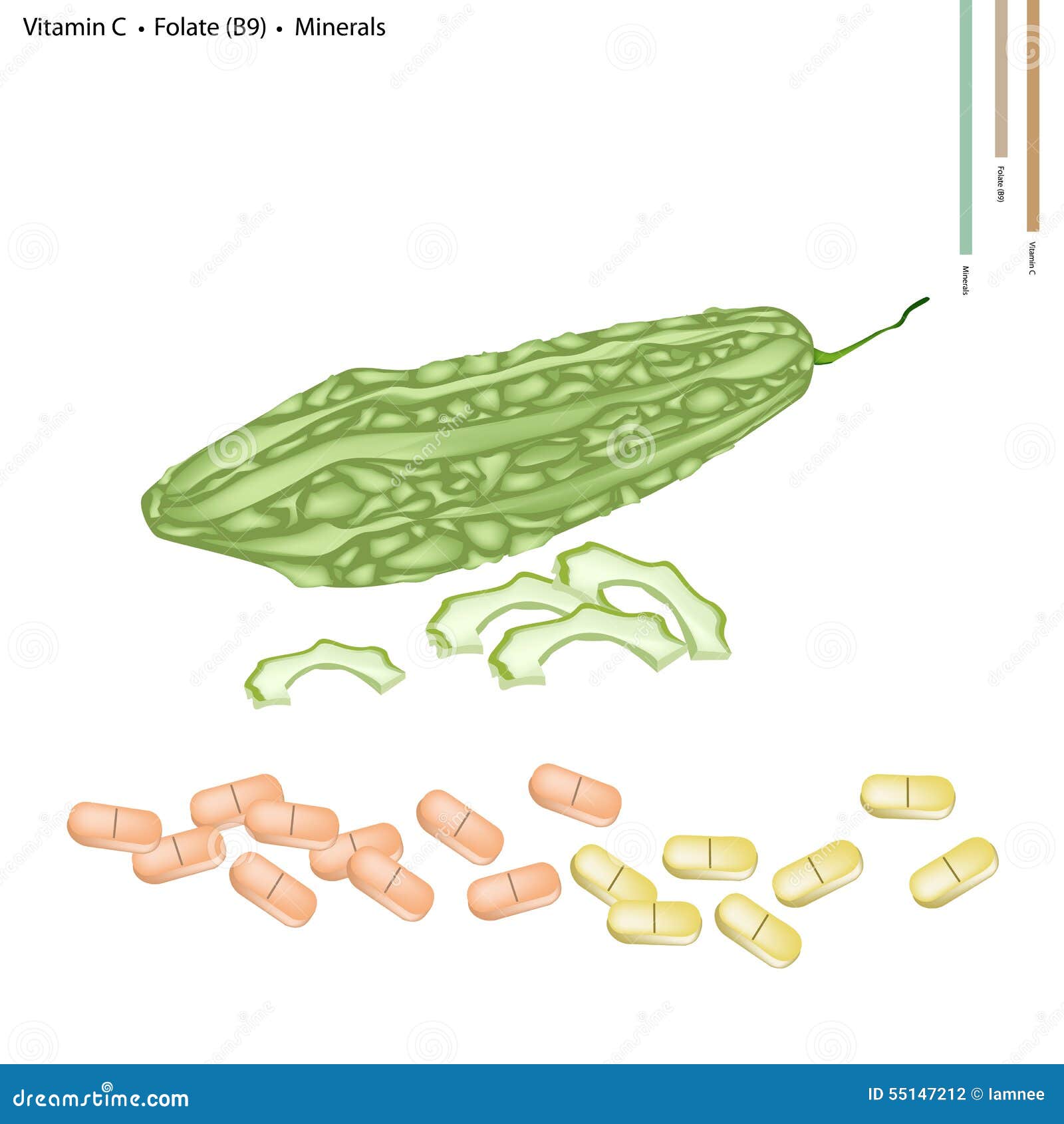 Melón Amargo Con Vitamina C, B9 Y Los Minerales Ilustración del Vector