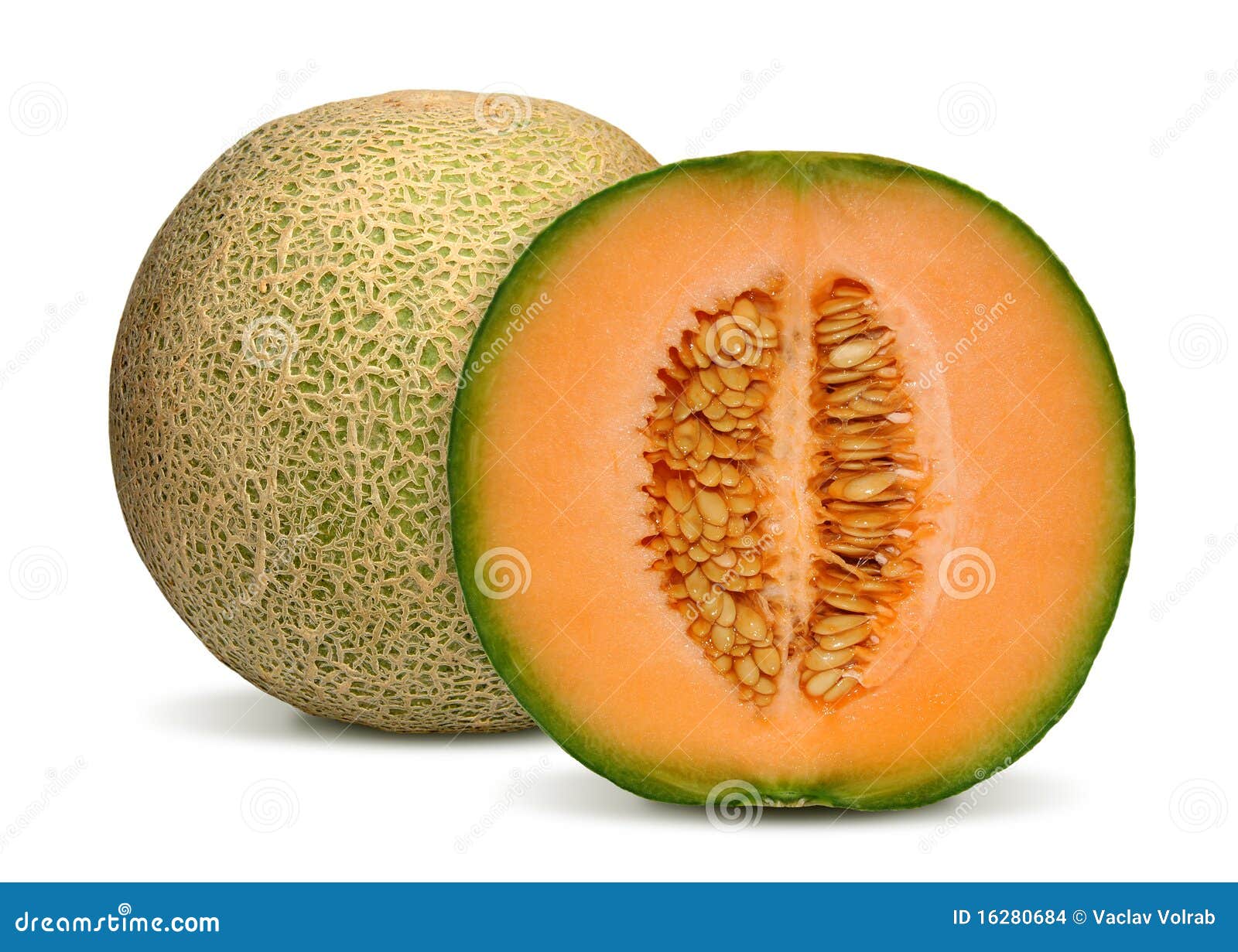 Melón del cantalupo foto de archivo. Imagen de fondo 16280684