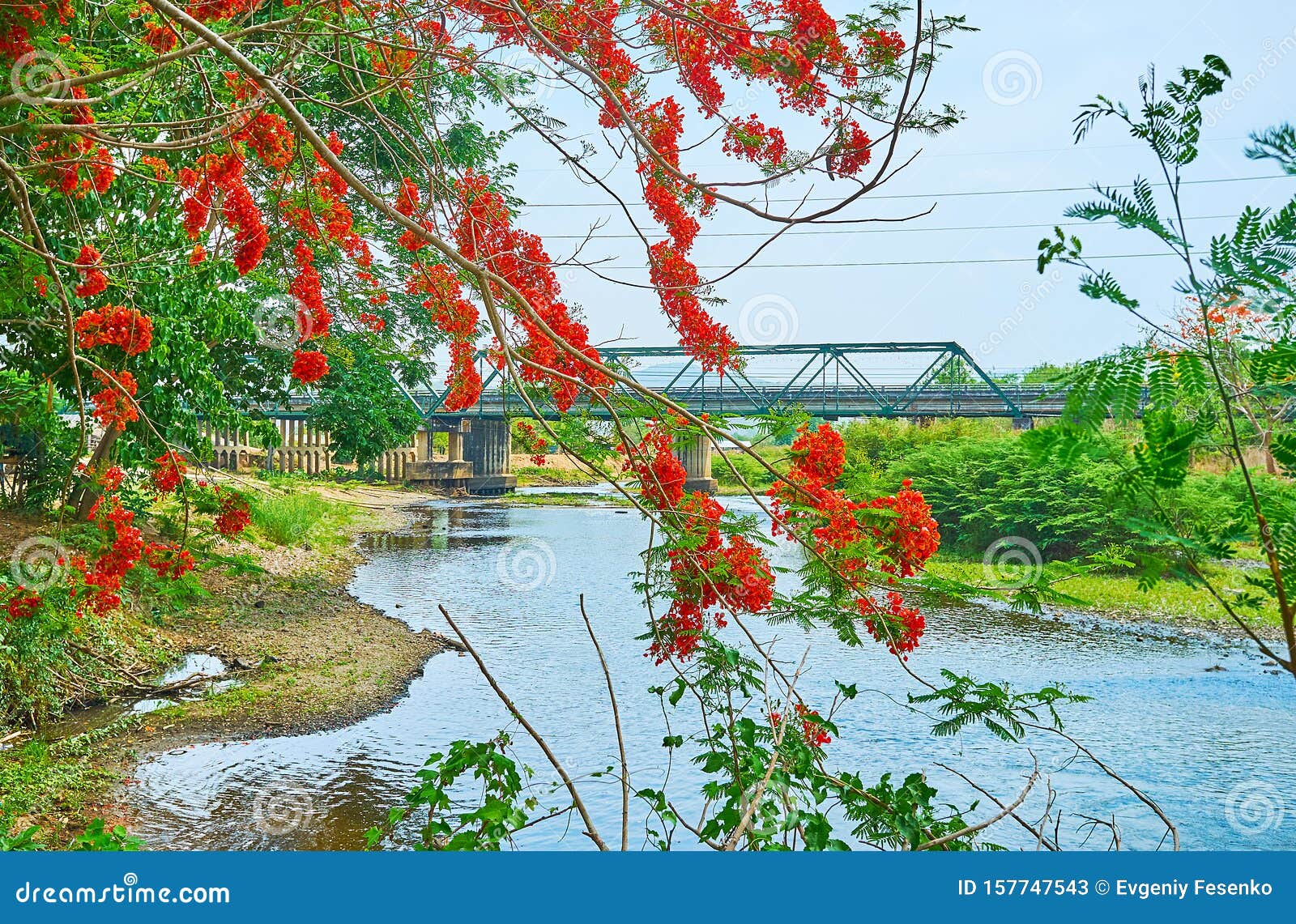 Memorial Bridge Through The Trees Pai Thailand Stock Image Image Of