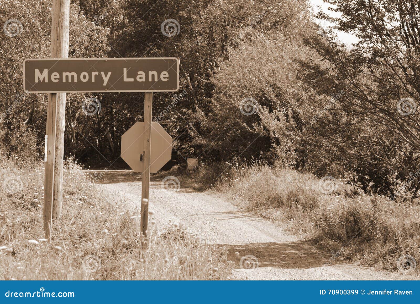 Memory Lane Street Sign stock image. Image of street 70900399