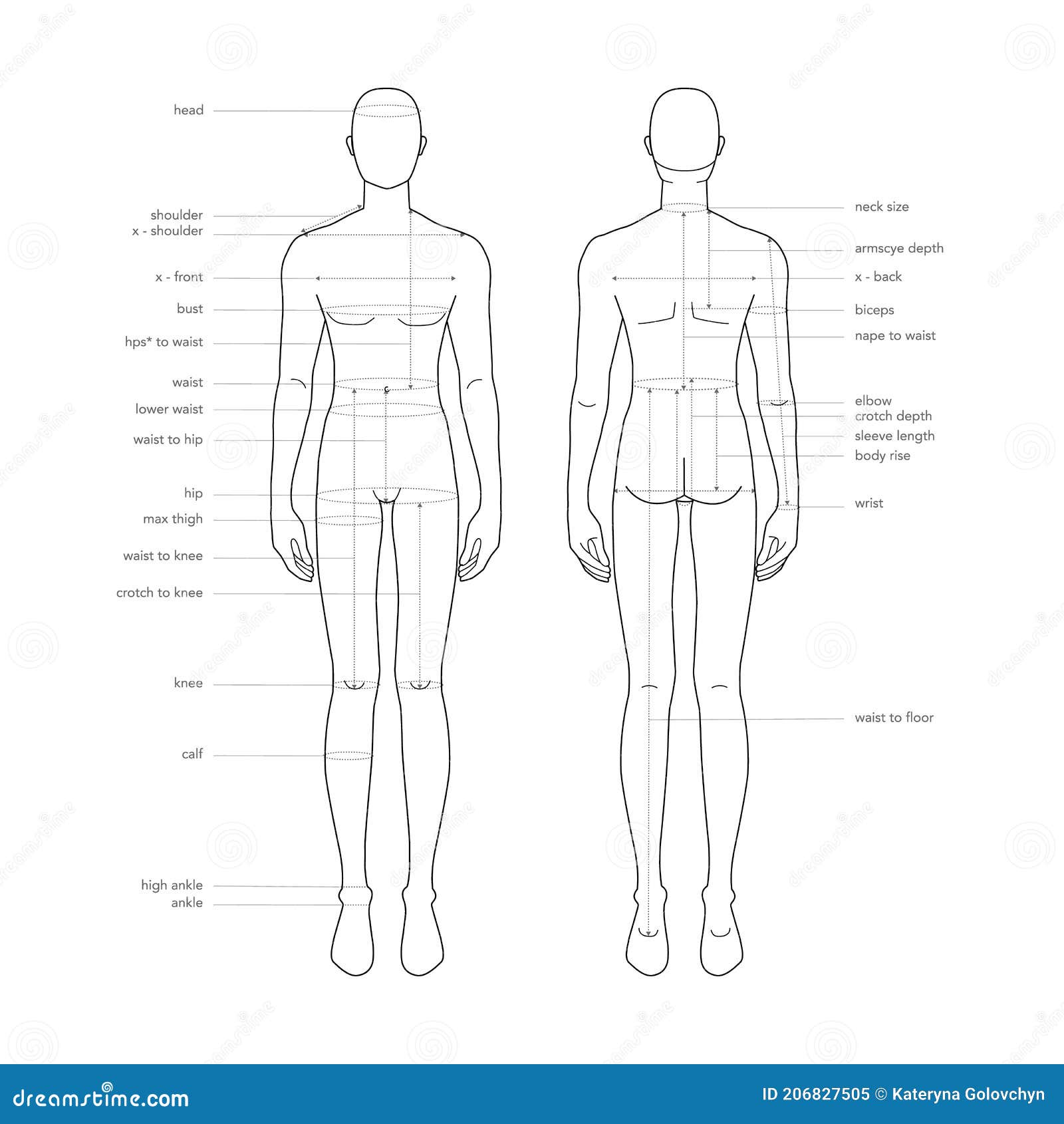 Body Parts Diagram Male / Human Anatomy Icons Male Body Stock