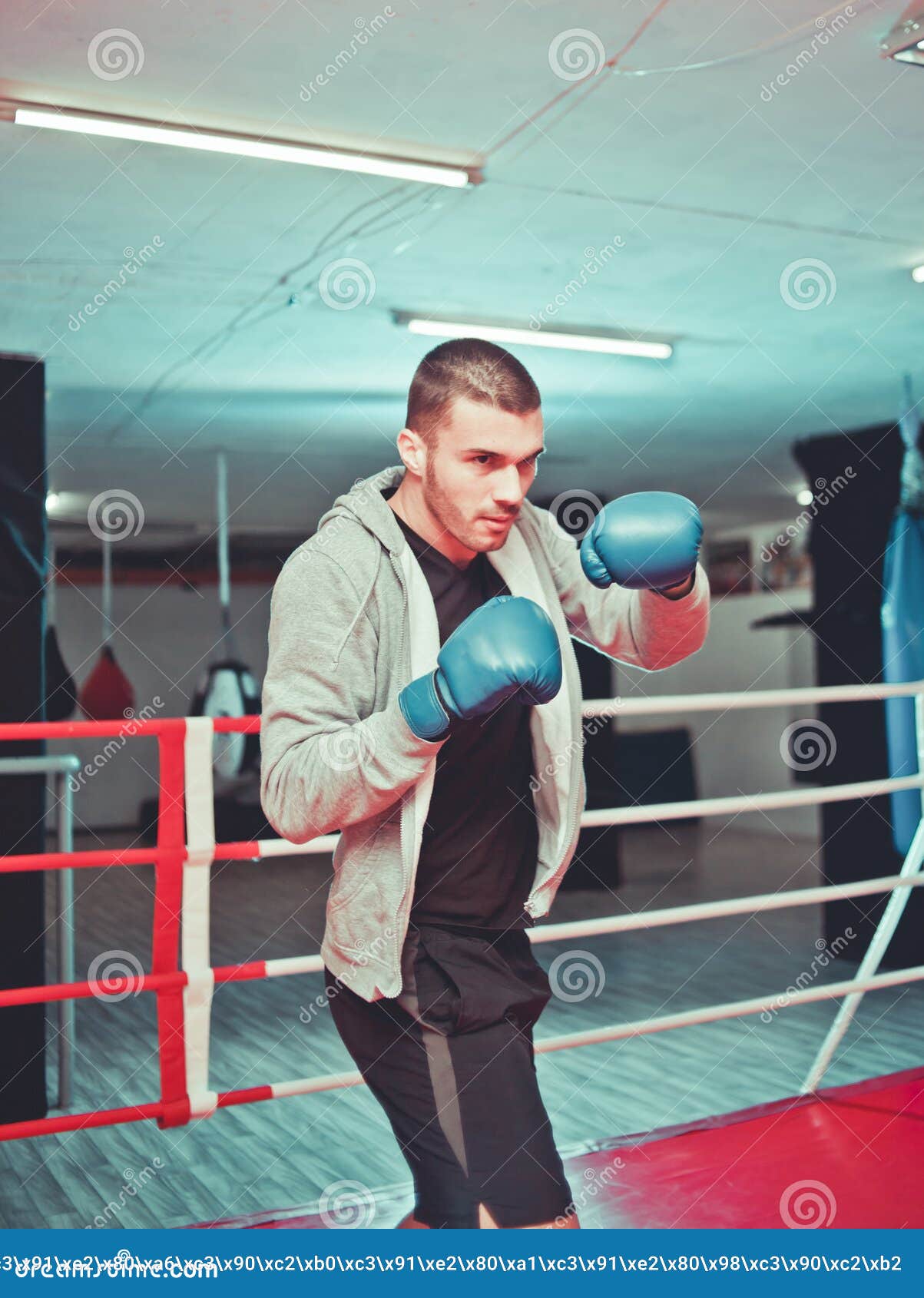 Men Boxer Doing Shadow Boxing Stock Photo Image of fitness, combat