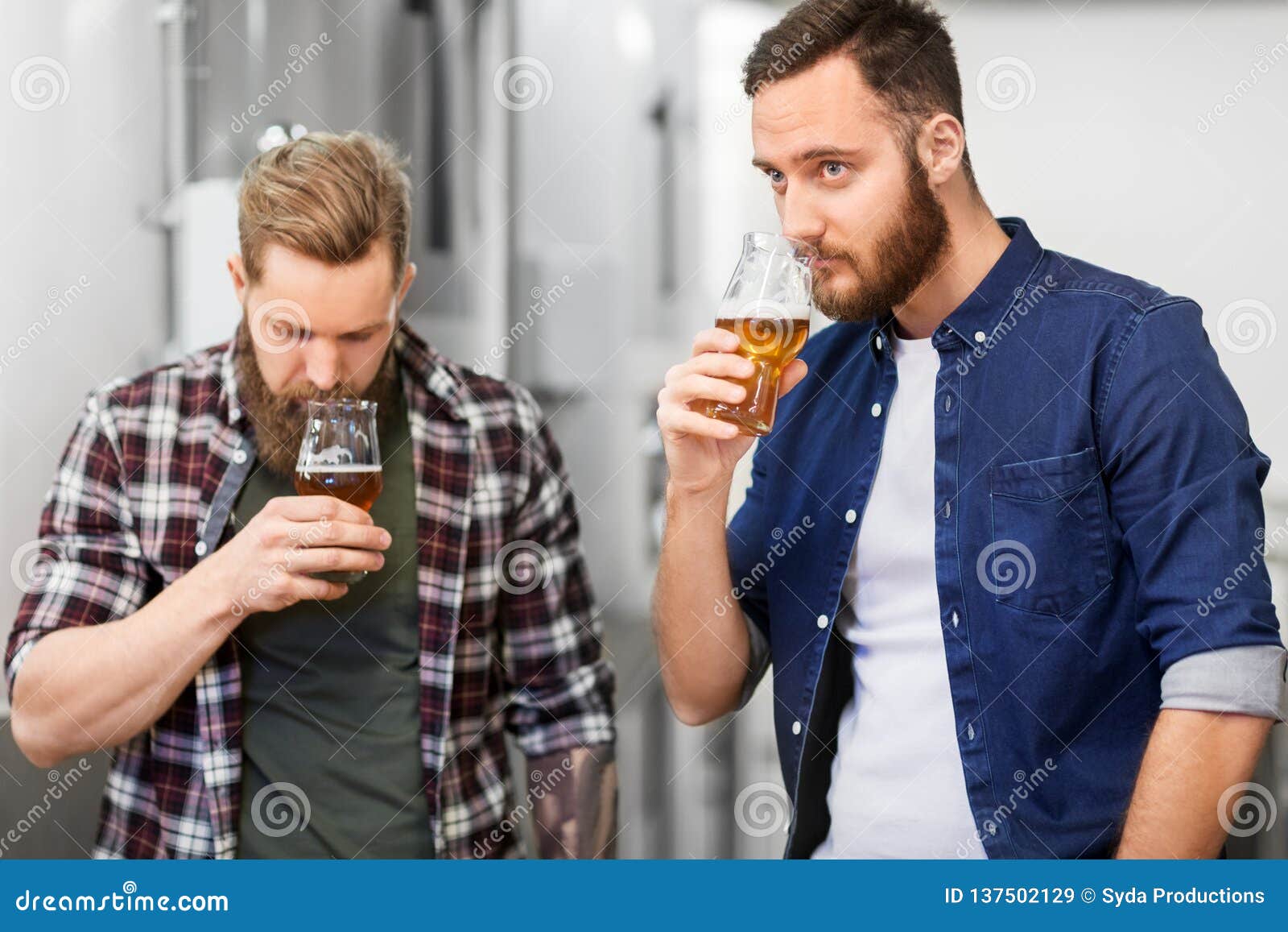 Men Drinking and Testing Craft Beer at Brewery Stock Image - Image of ...