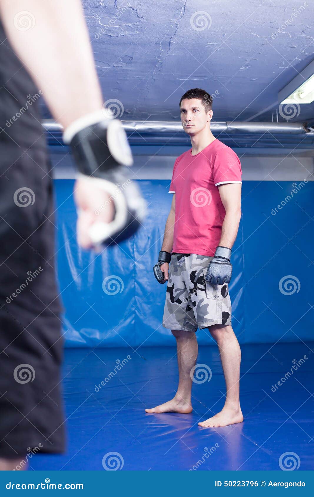 Men at mma training stock photo. Image of boxer, exercise 50223796