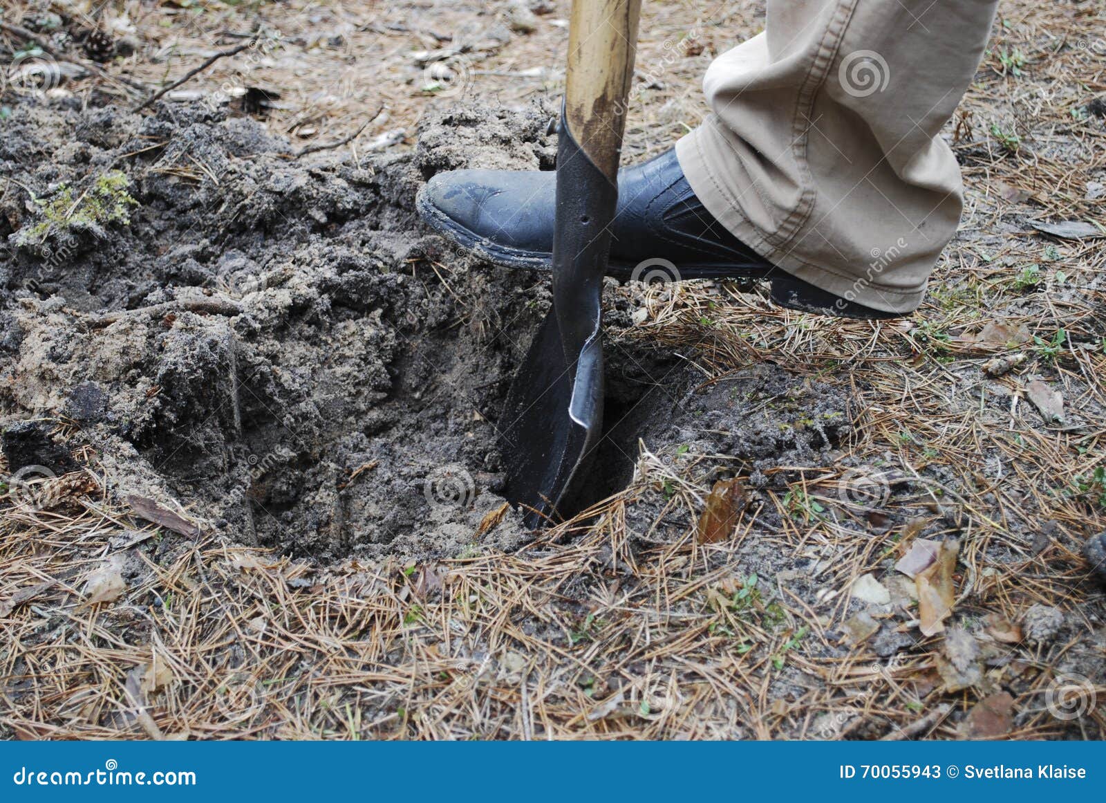 Men S Foot on a Shovel, Dig a Hole. Stock Image Image of farm, tool