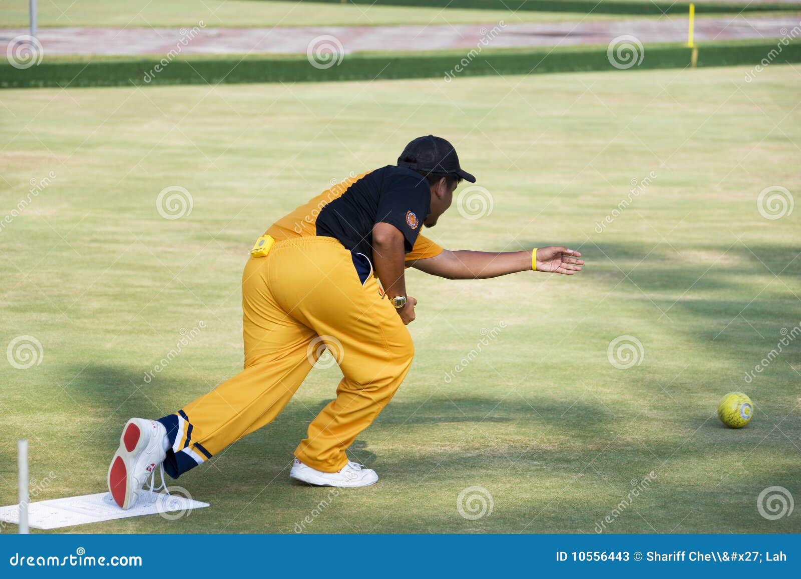 Men s Lawn Bowl Action editorial stock photo. Image of championship
